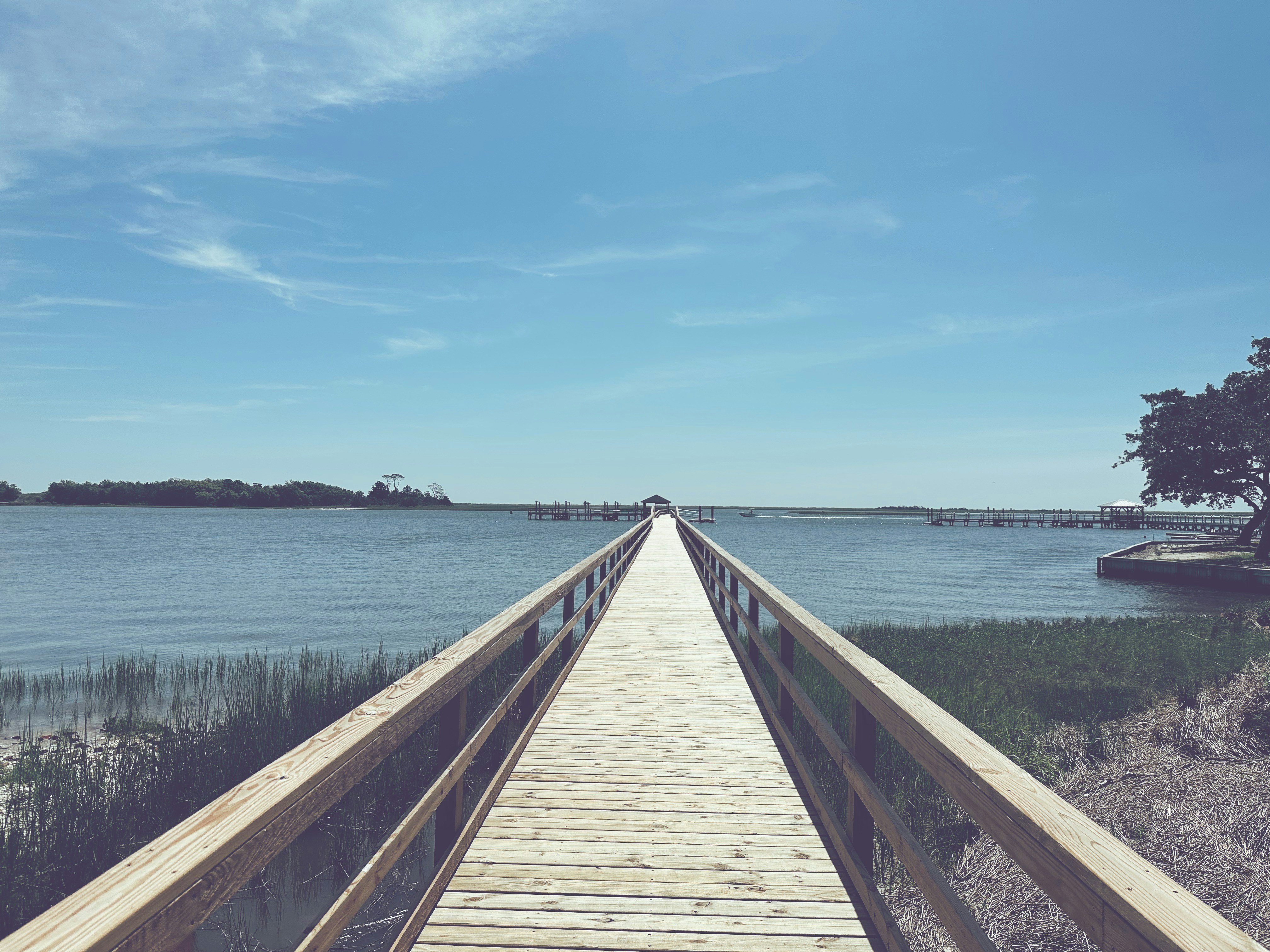 Photo by nextjoshaustin