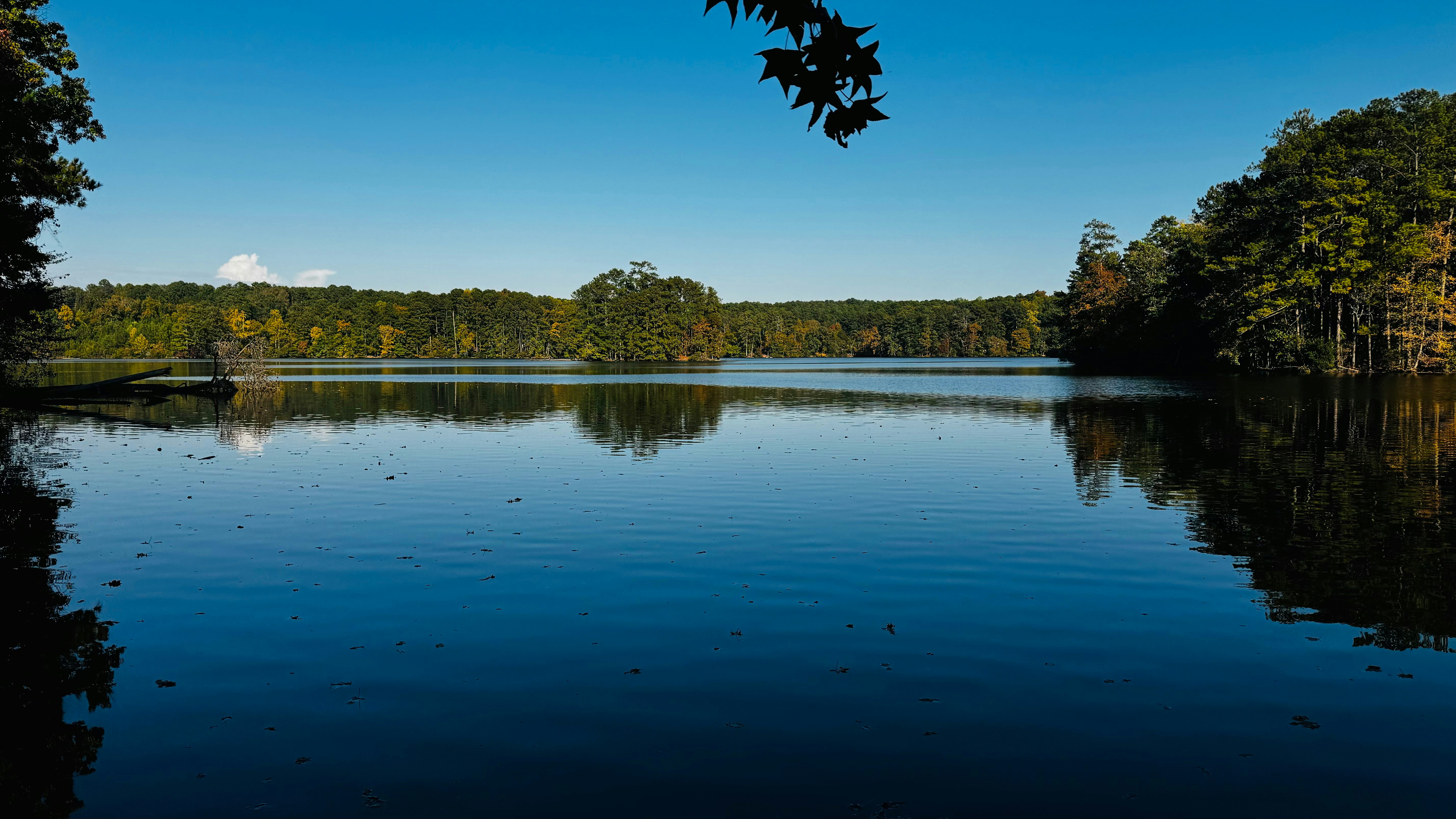 Photo by manishdhakal