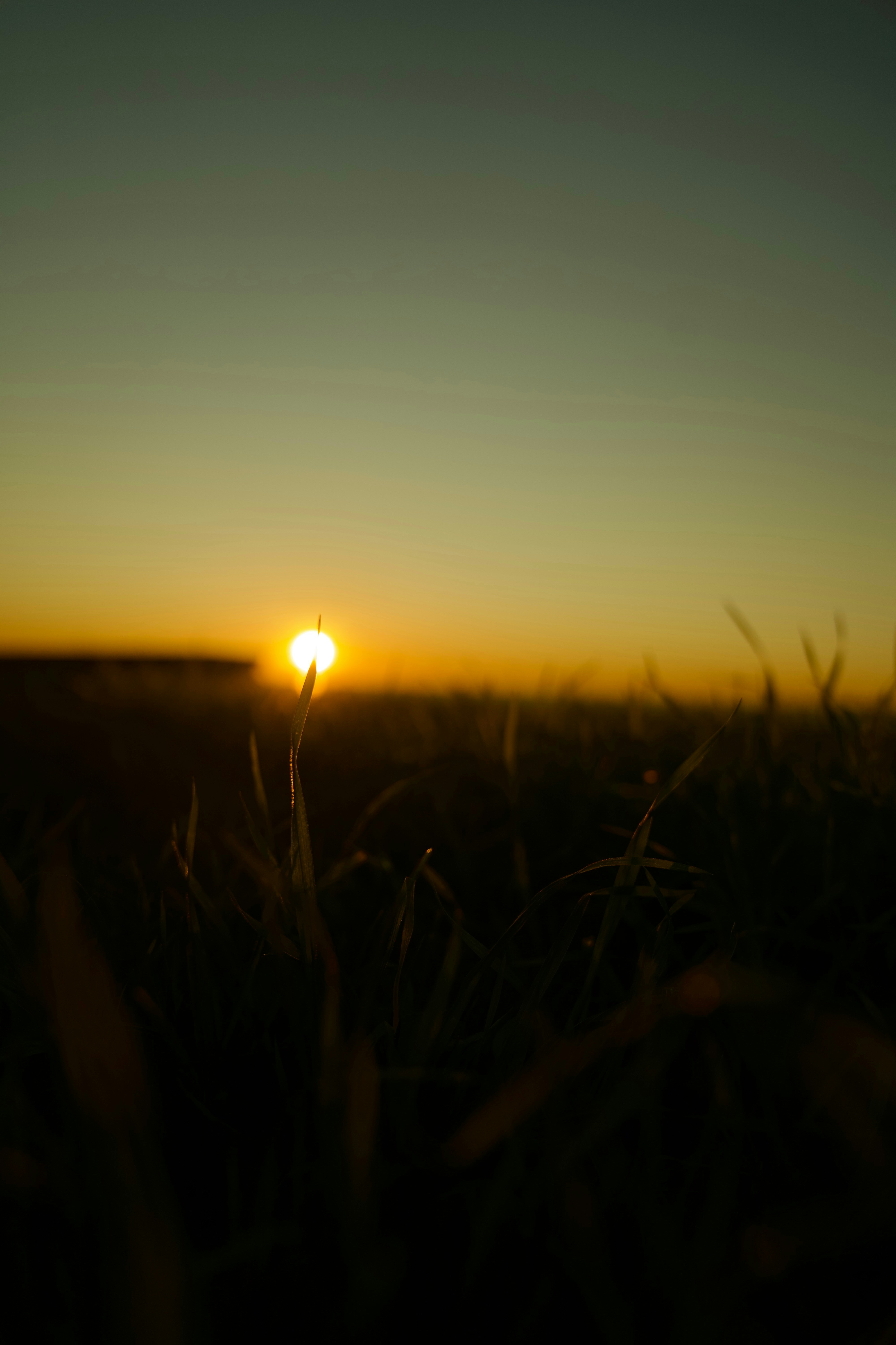 Photo by rasjayamaha