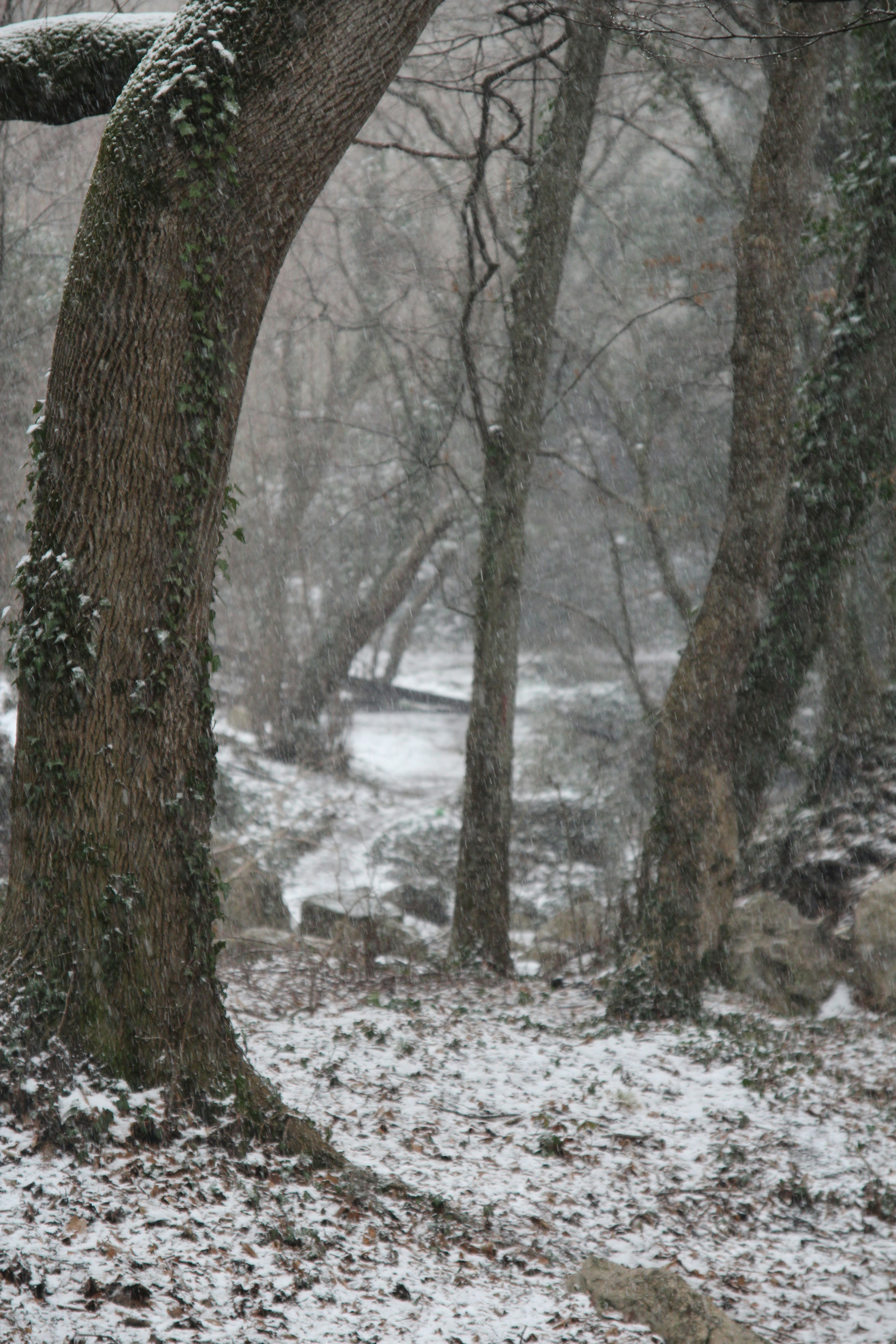 A person walking in the snow with an umbrella