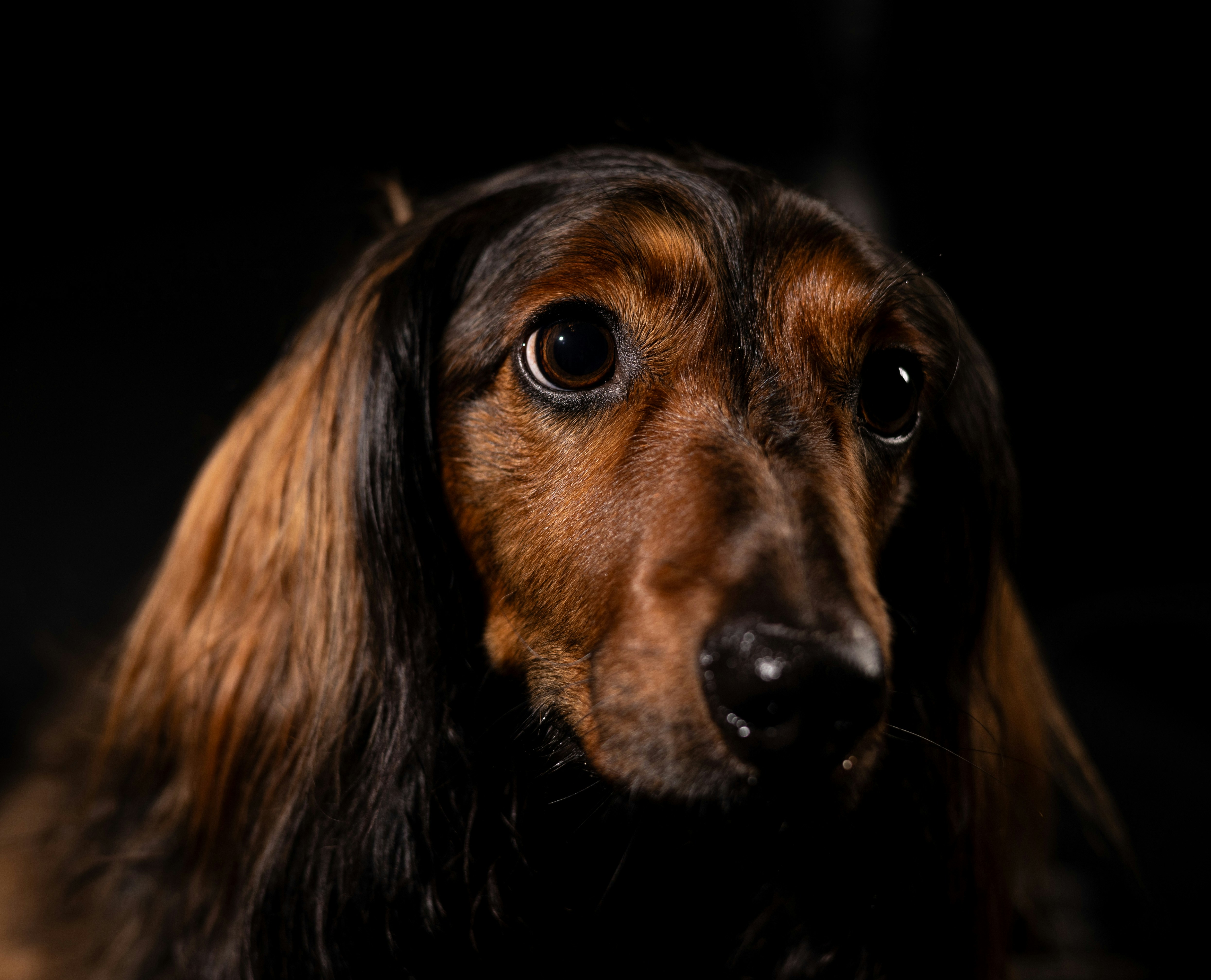 Photo by thomas_de_fretes