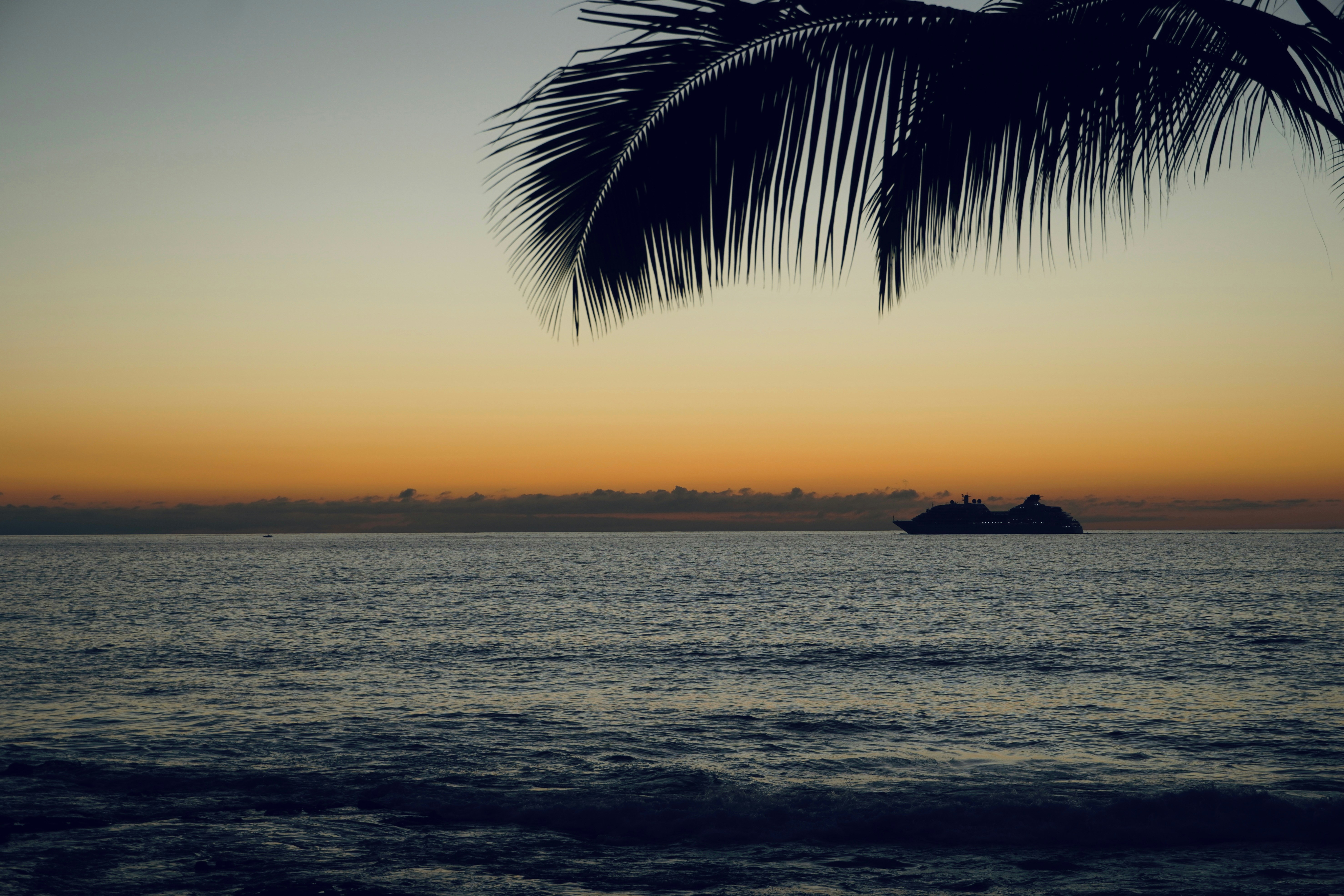 We Handle the Red Tape