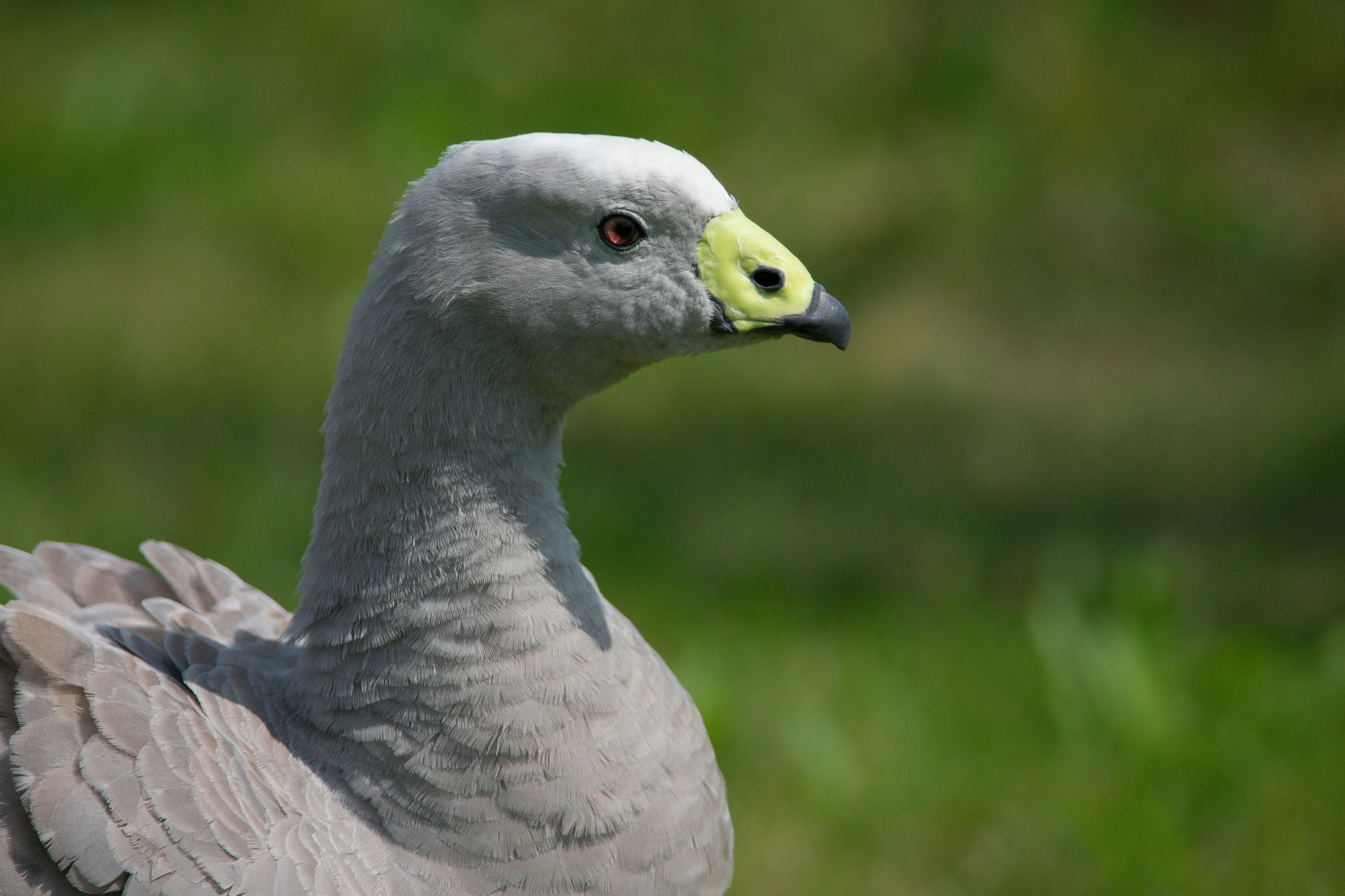 Photo by samuel_hagger