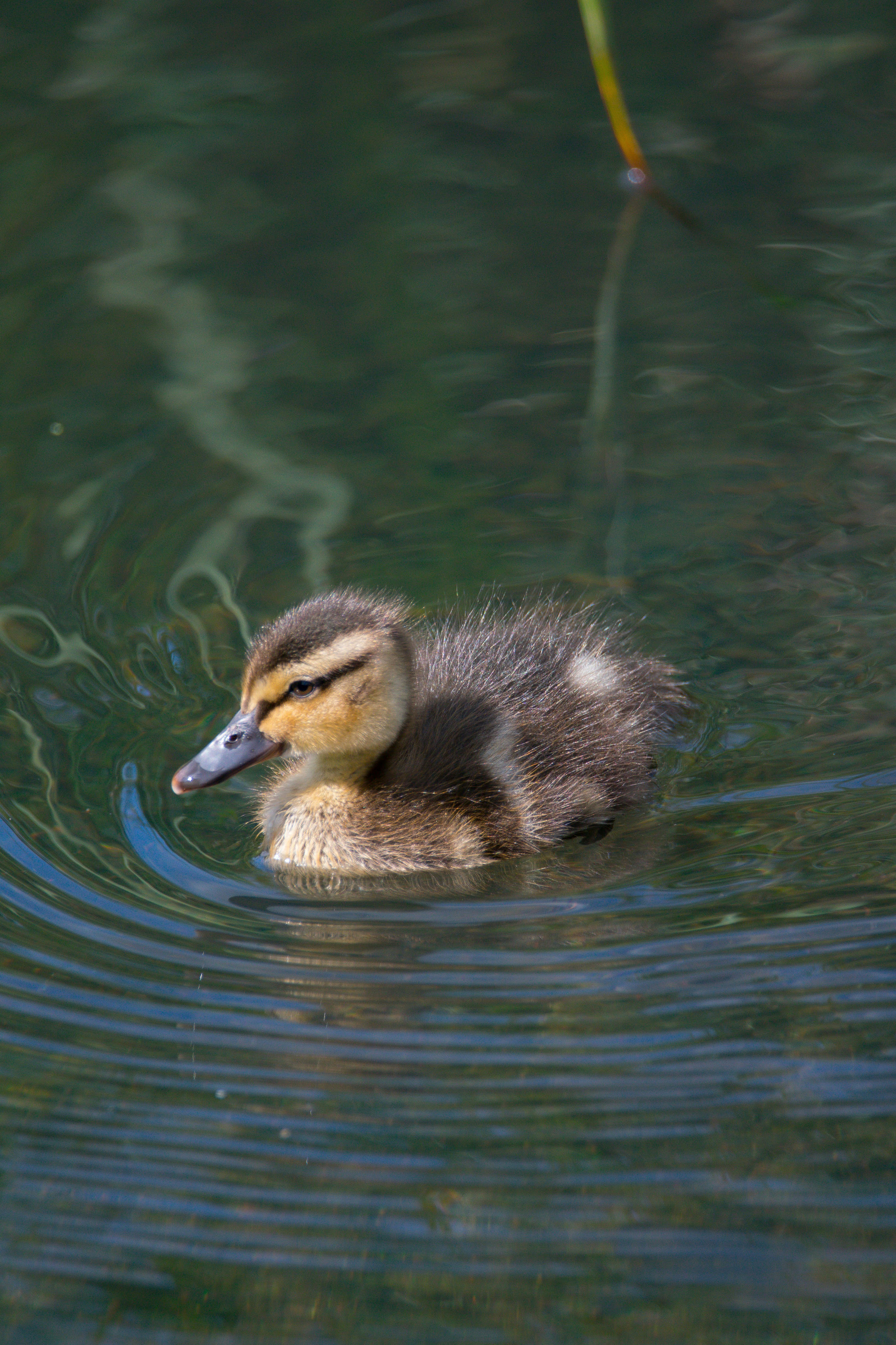 Photo by samuel_hagger