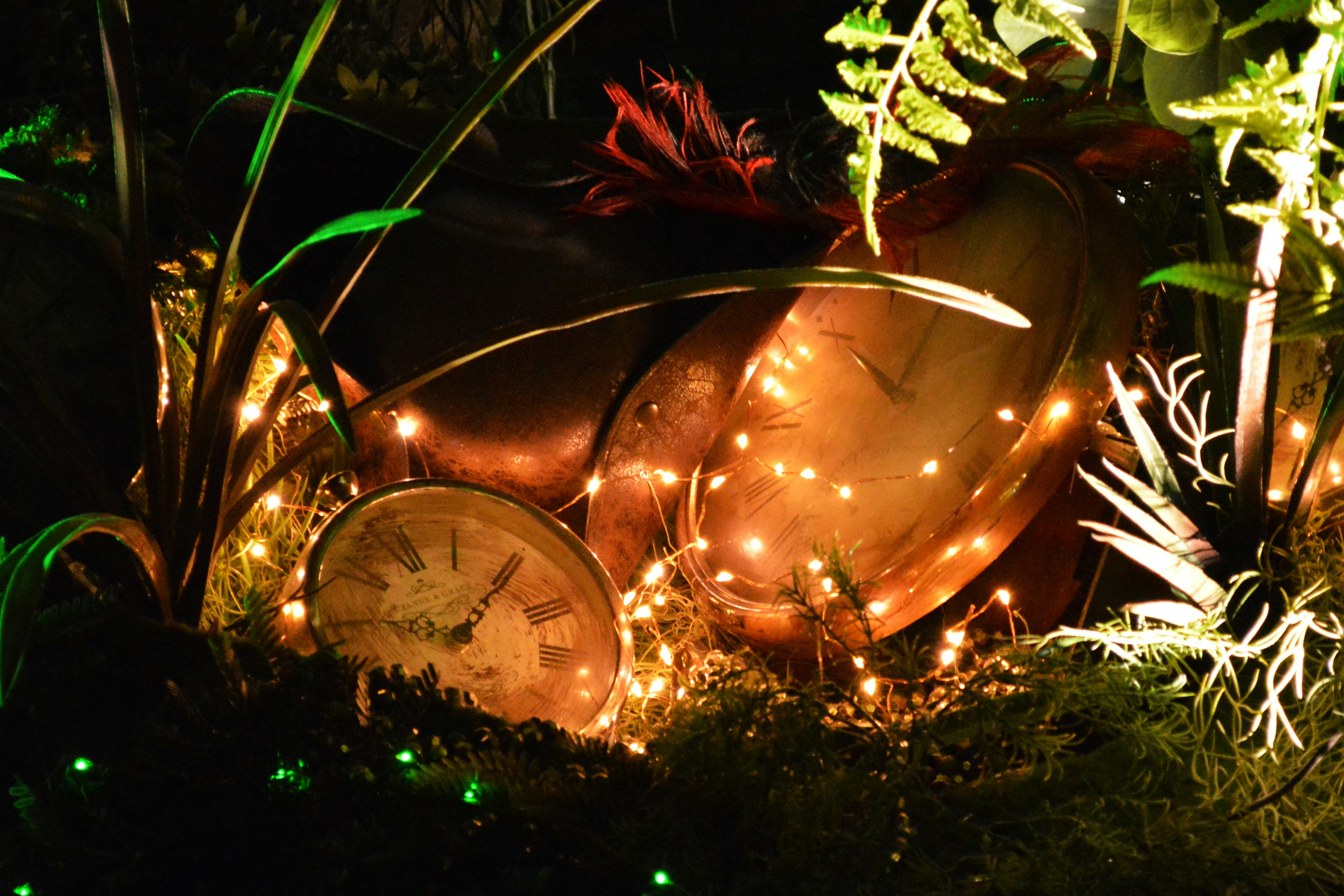 Un primer plano de una planta con luces en el fondo
