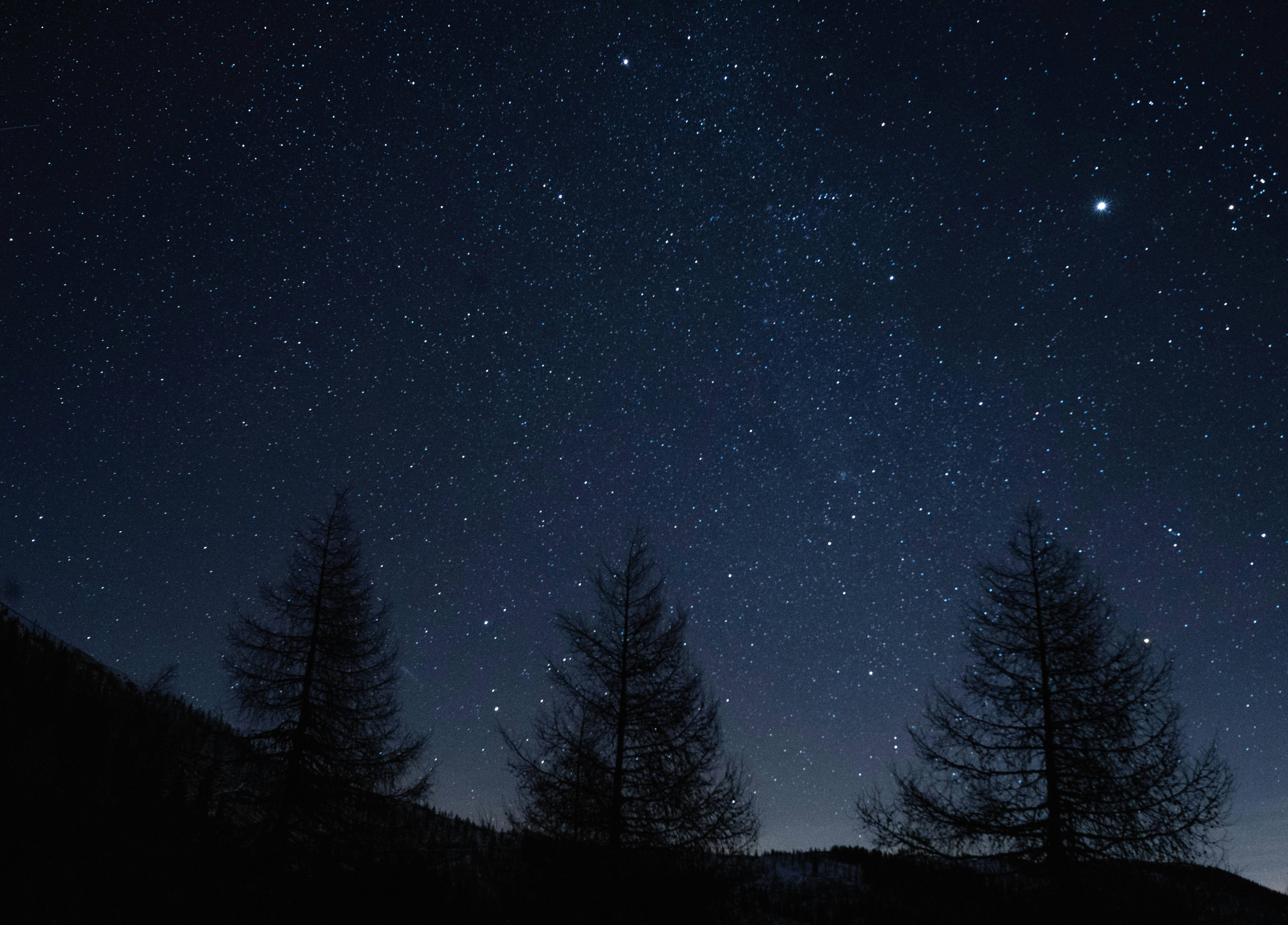 Photo by allexander_h