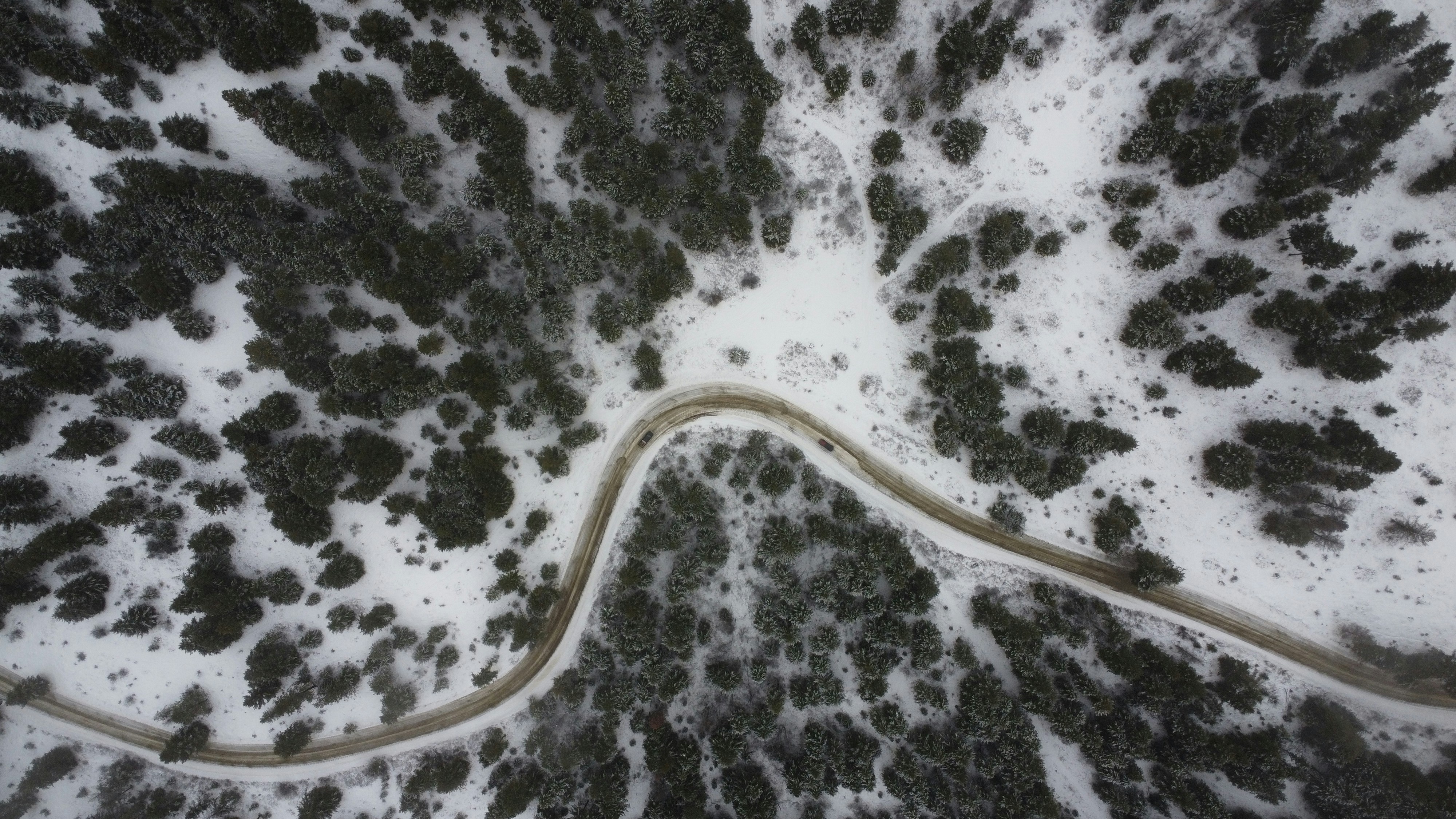 Photo by marmotdrones
