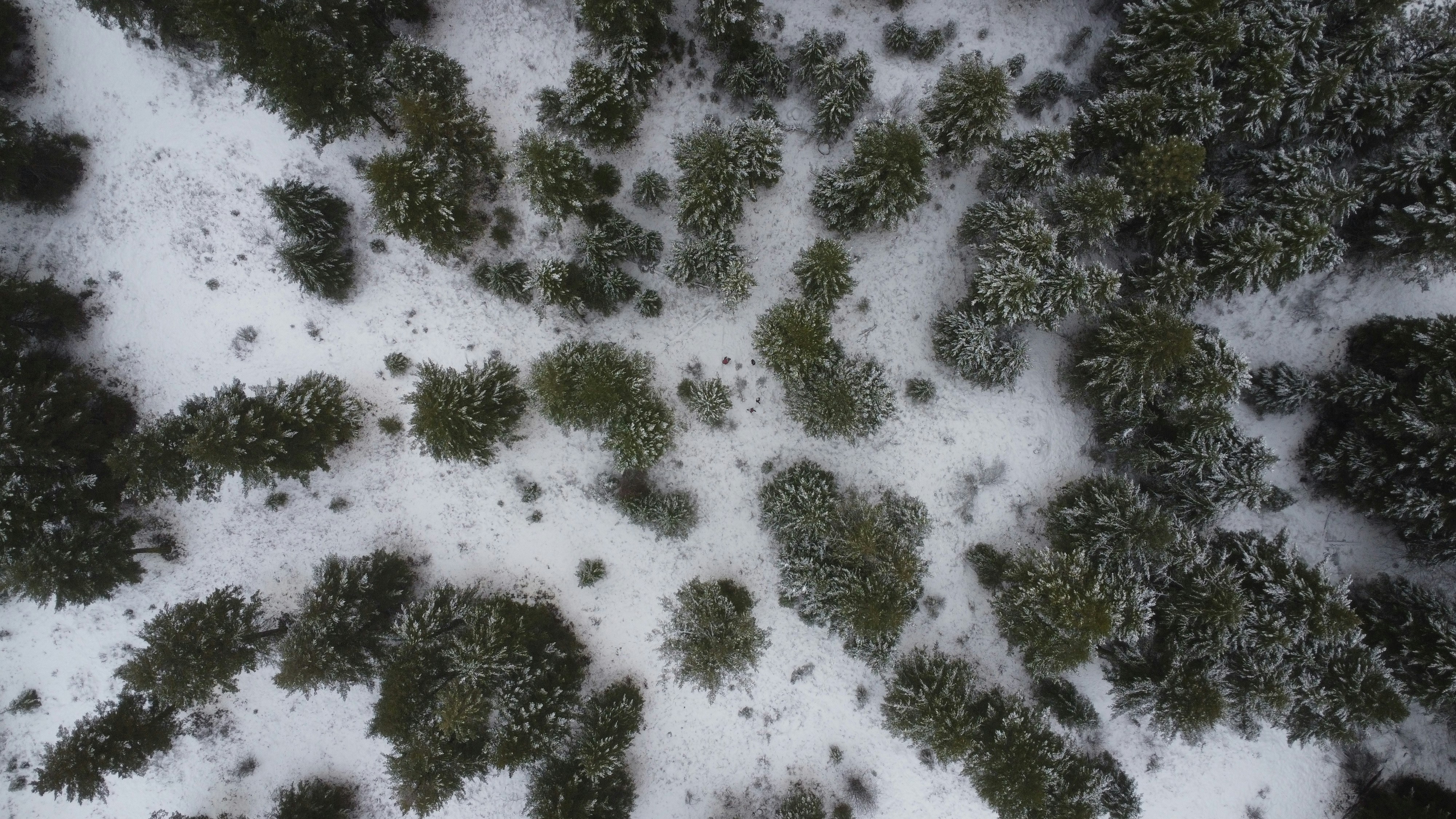 Photo by marmotdrones