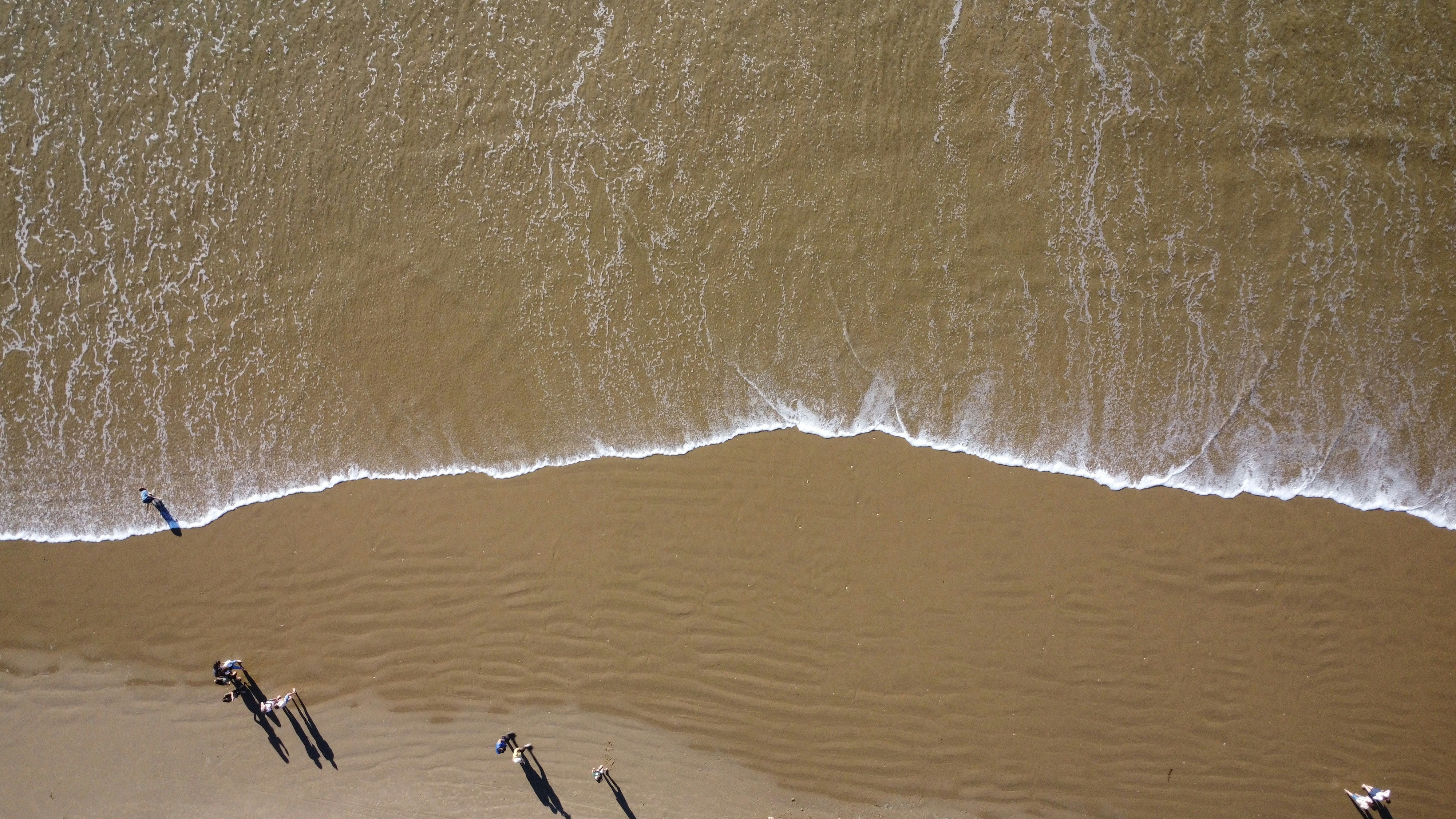 A group of birds standing on top of a sandy beach