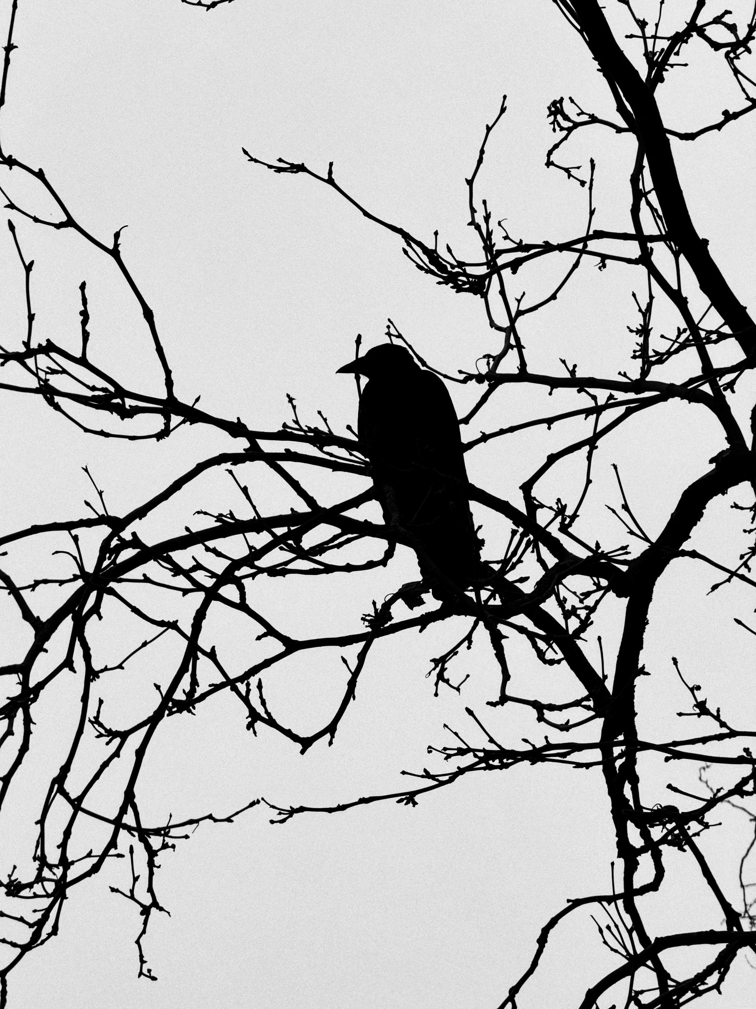 Photo by tomasrobertson