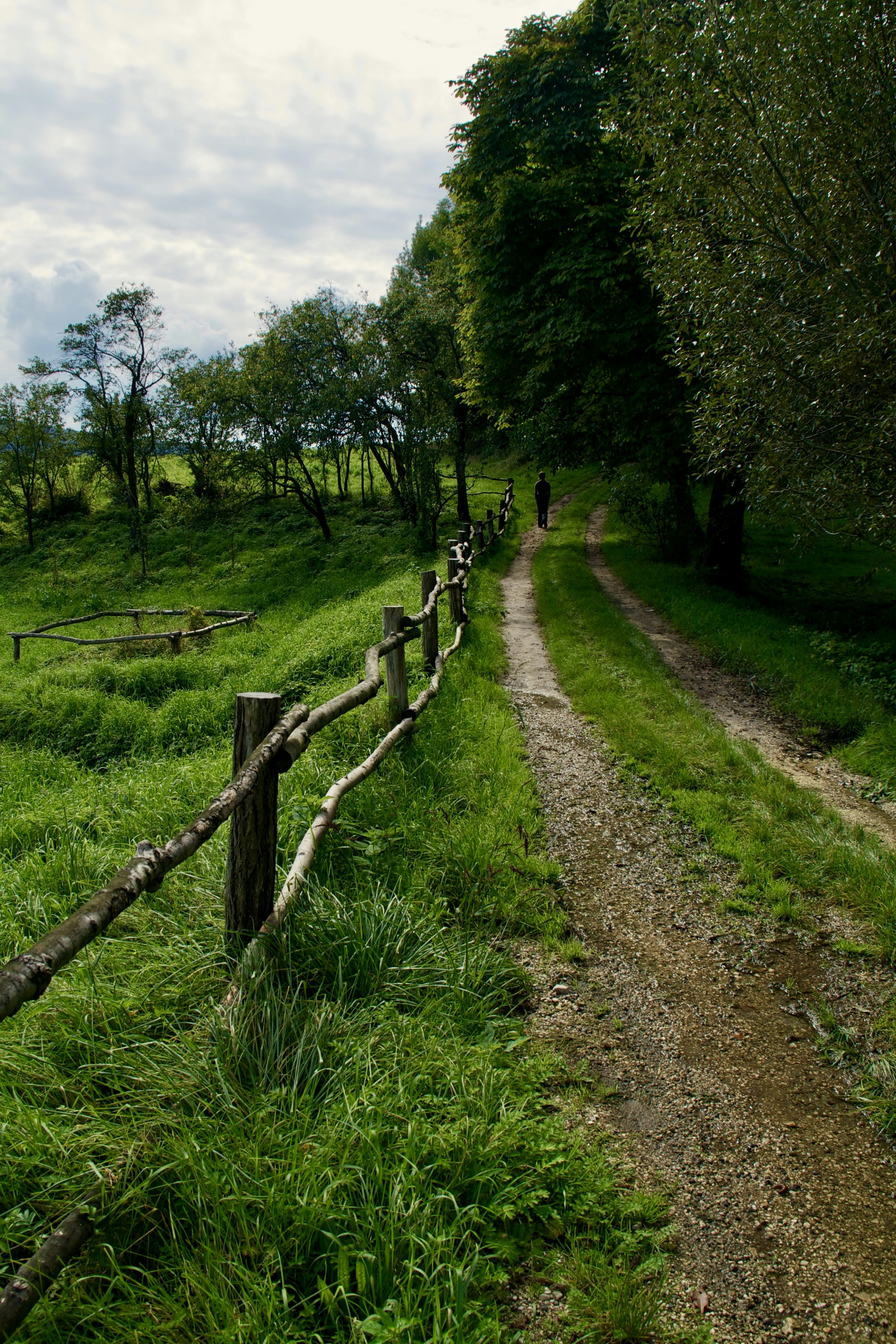 A wooden fence in the middle of a grassy field