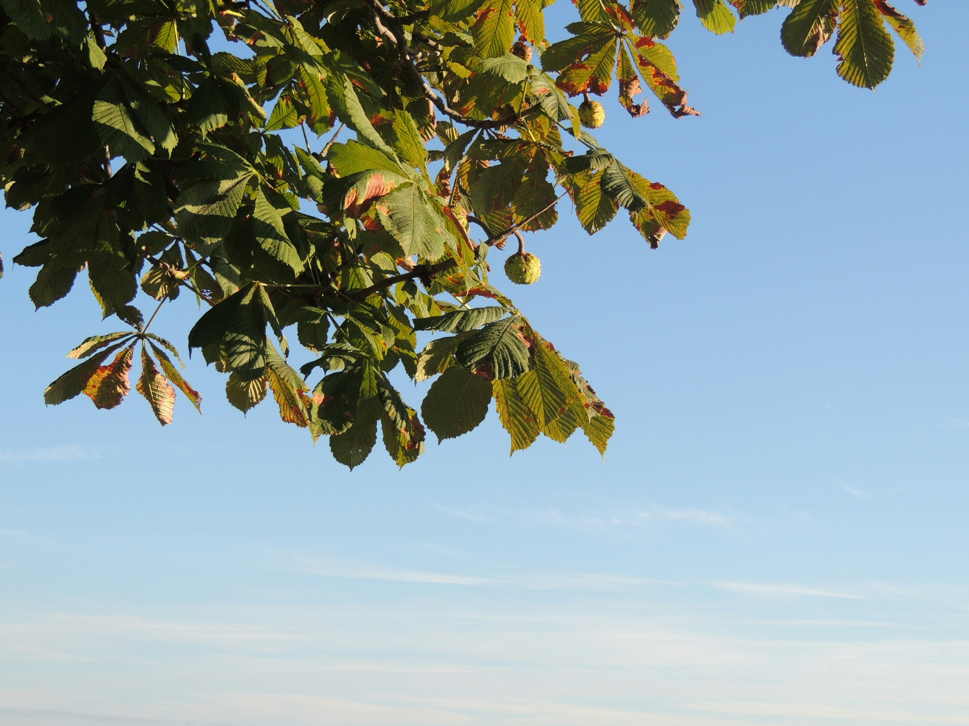 Photo by mcdesigns999