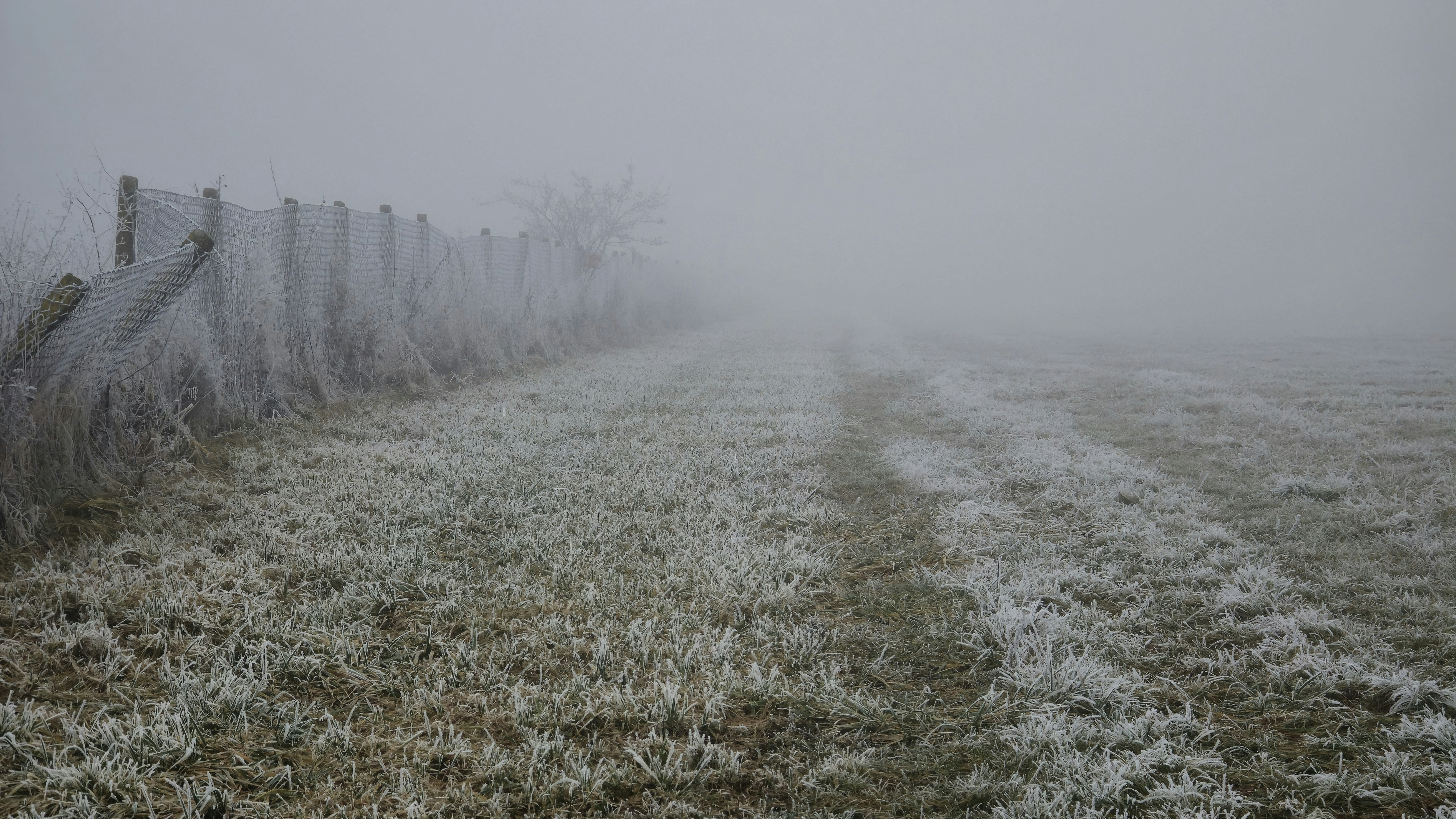 Photo by kirtap_tavrach