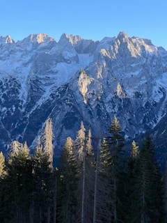 A view of a mountain range with trees in the foreground