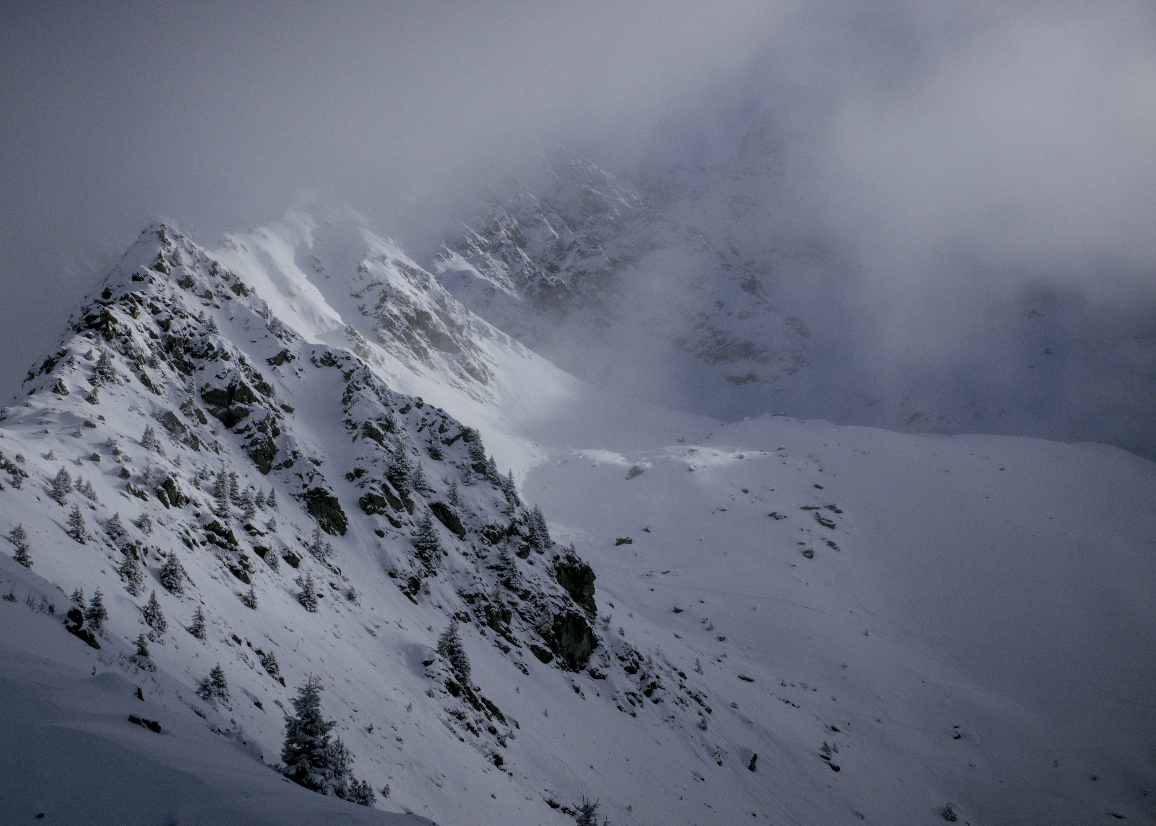 Photo by thomastygreat