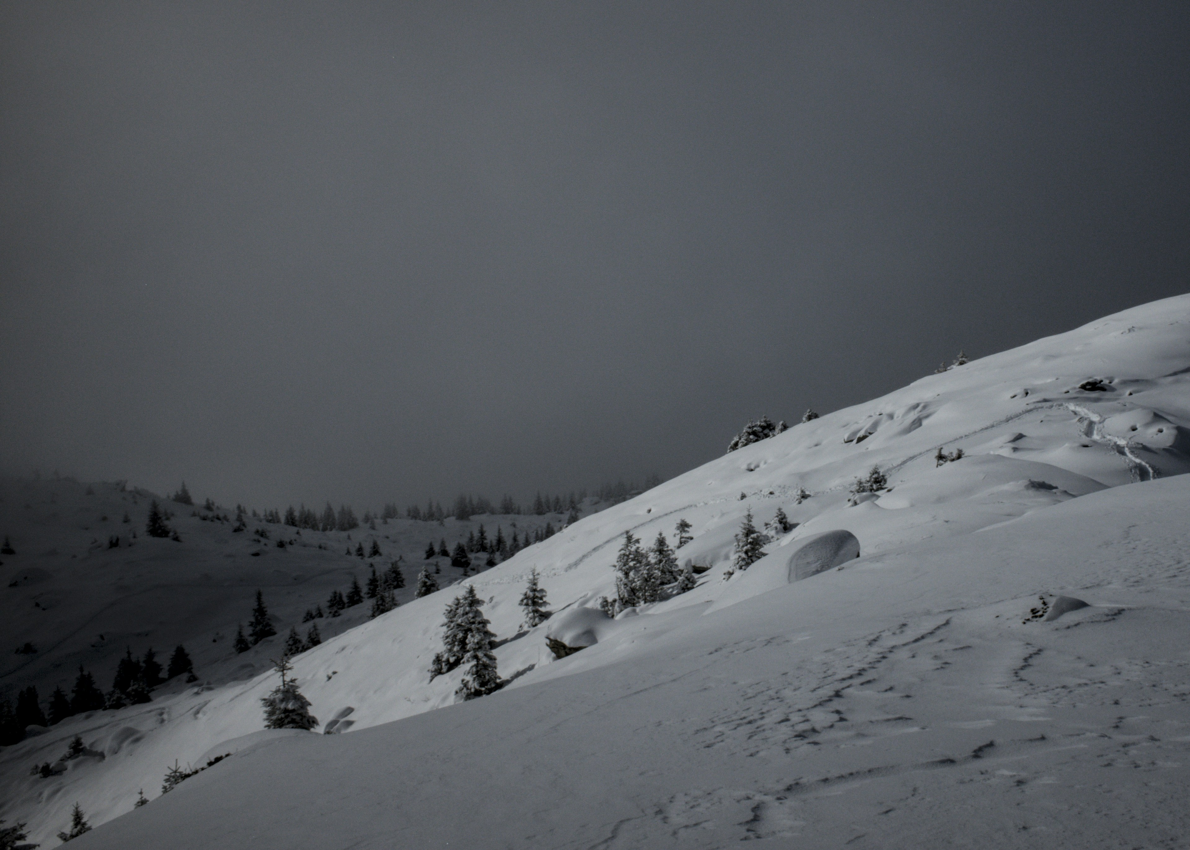 Photo by thomastygreat