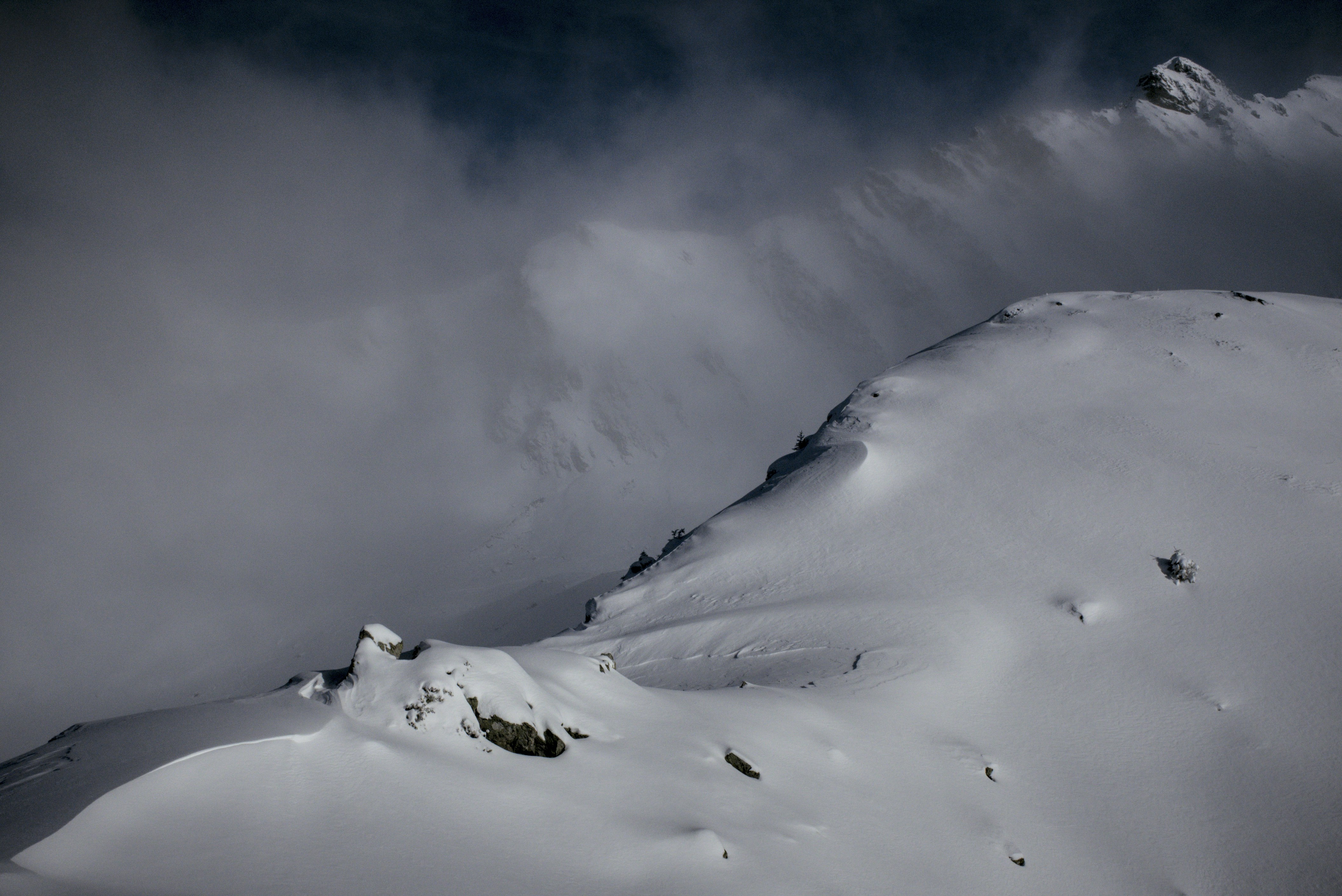 Photo by thomastygreat