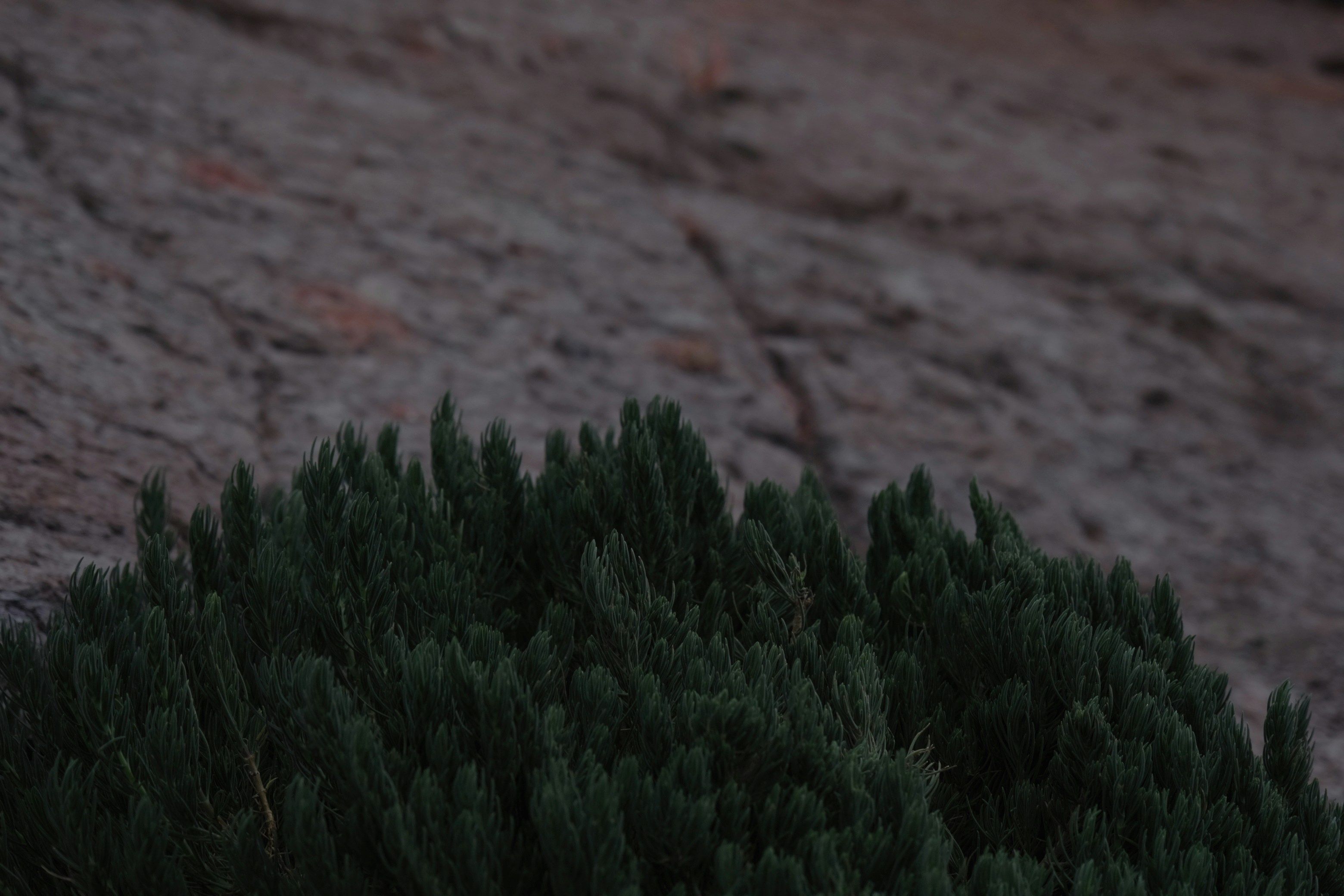A bird is perched on a tree branch