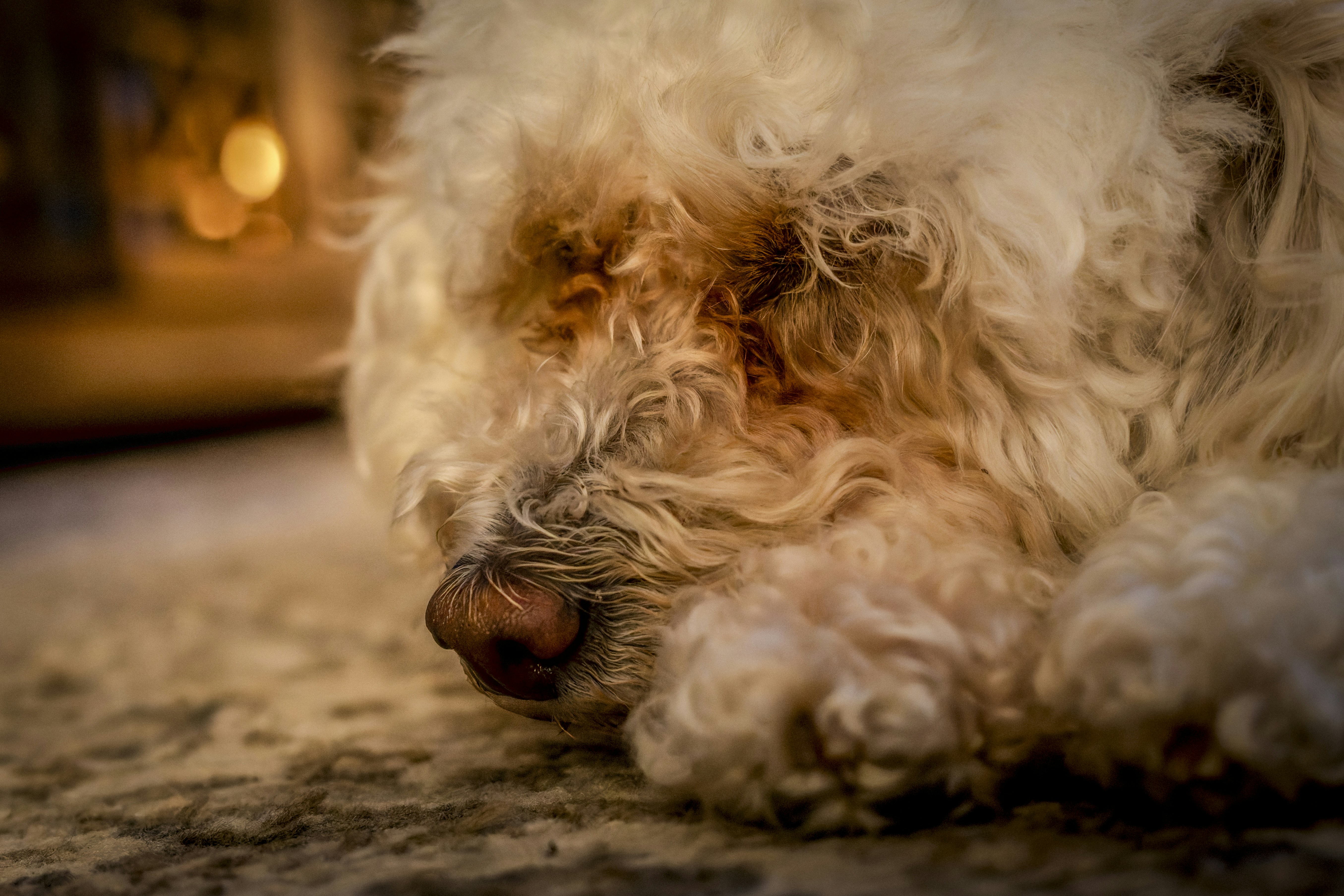 Photo by peterbbryan