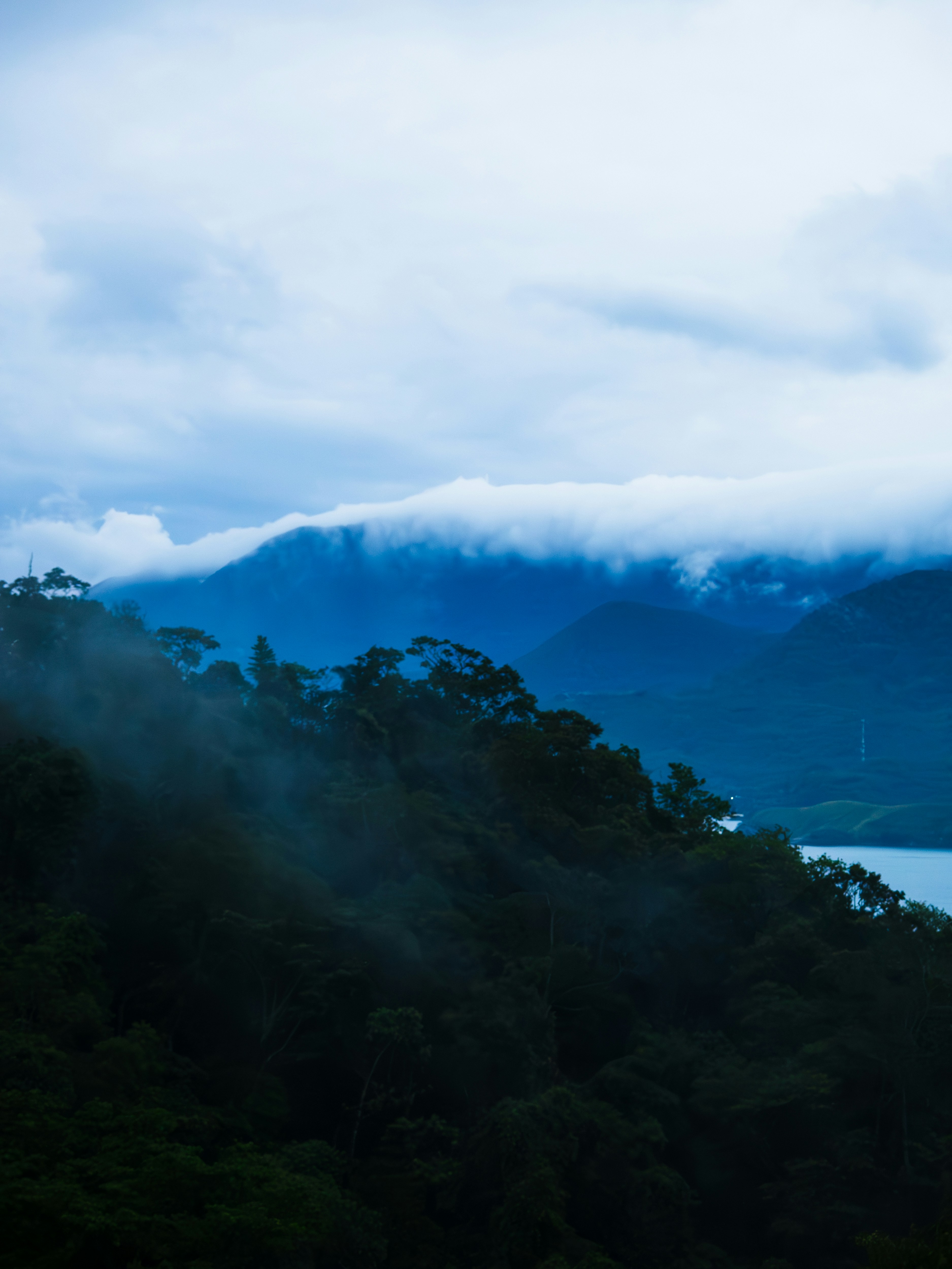 Photo by igorhalfeld