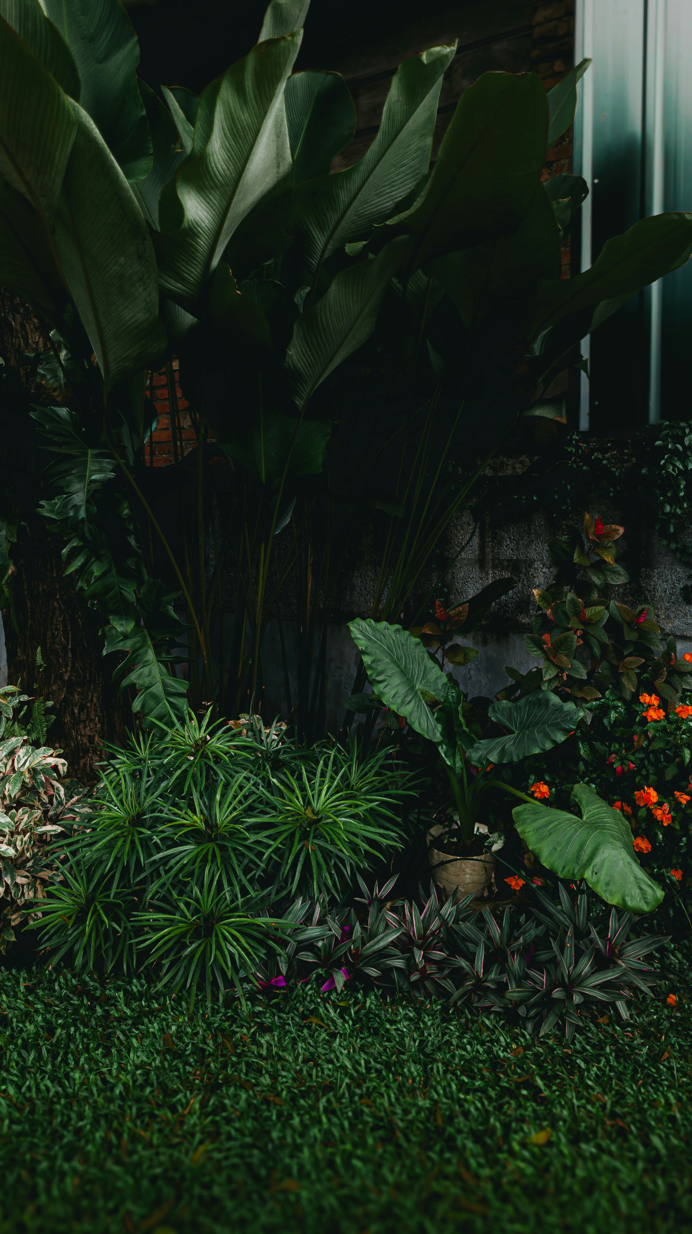 Photo by pocketpixeldiary