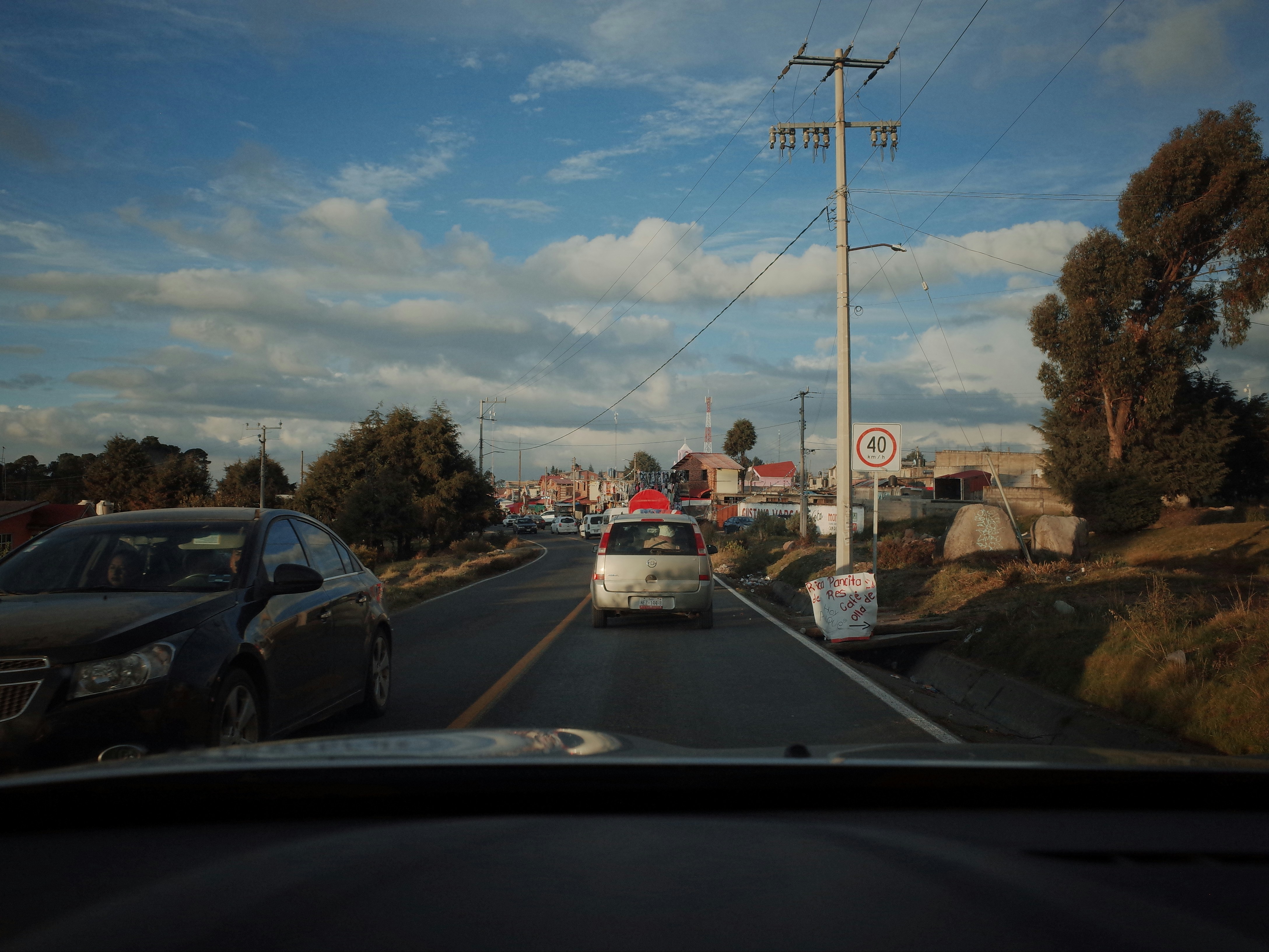 A car driving down a road next to a forest