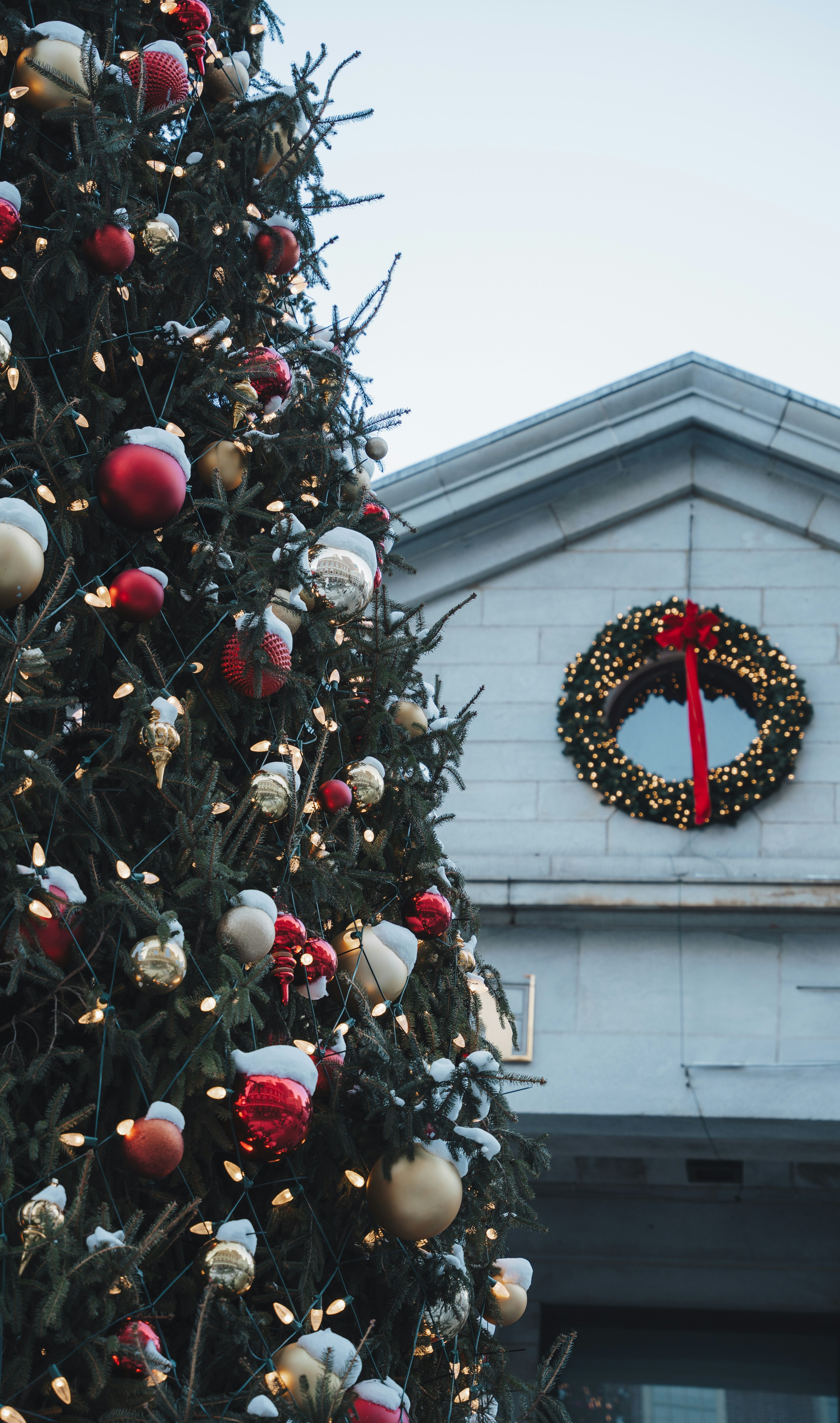 A large christmas tree outside of a building