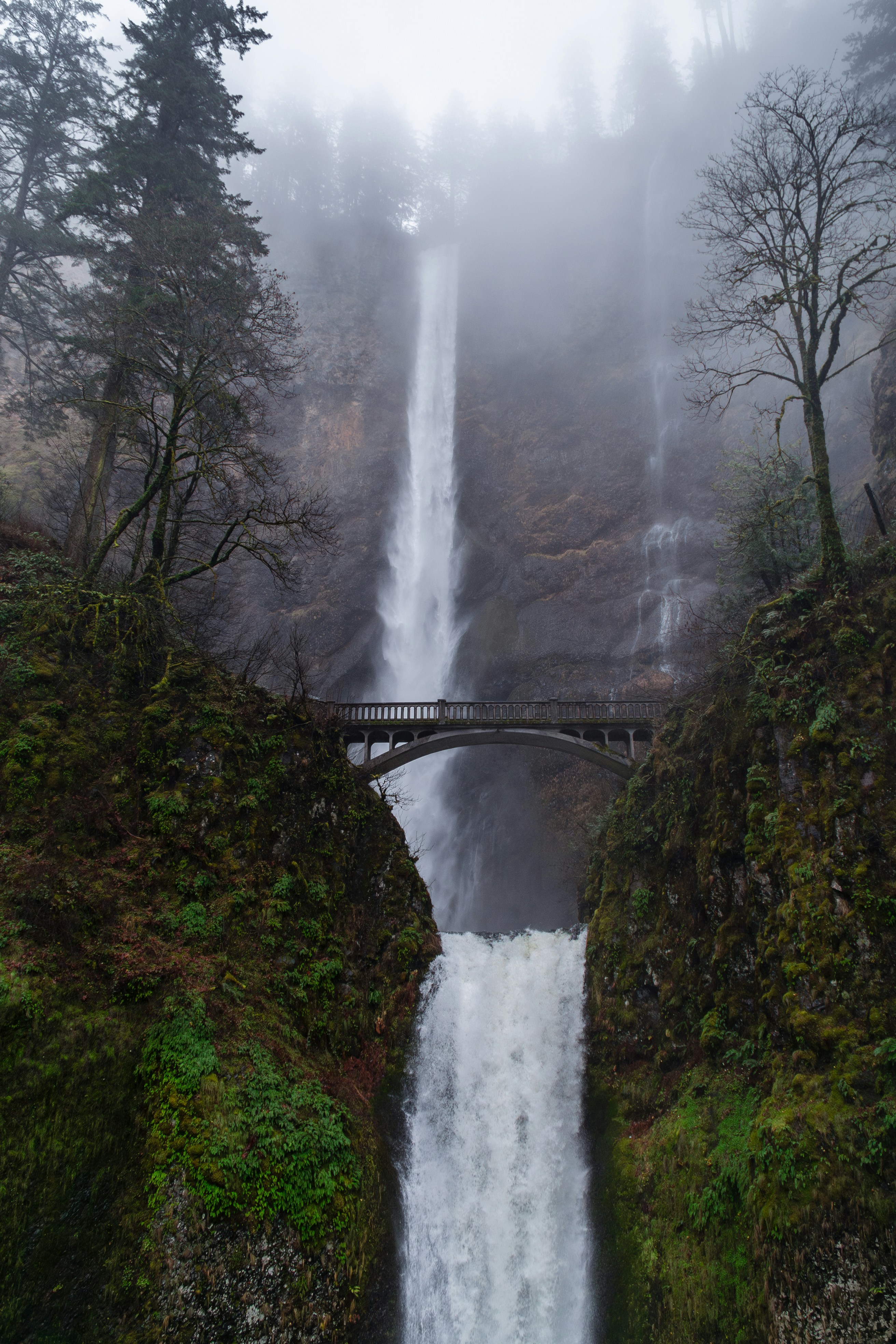 Photo by jamessestric