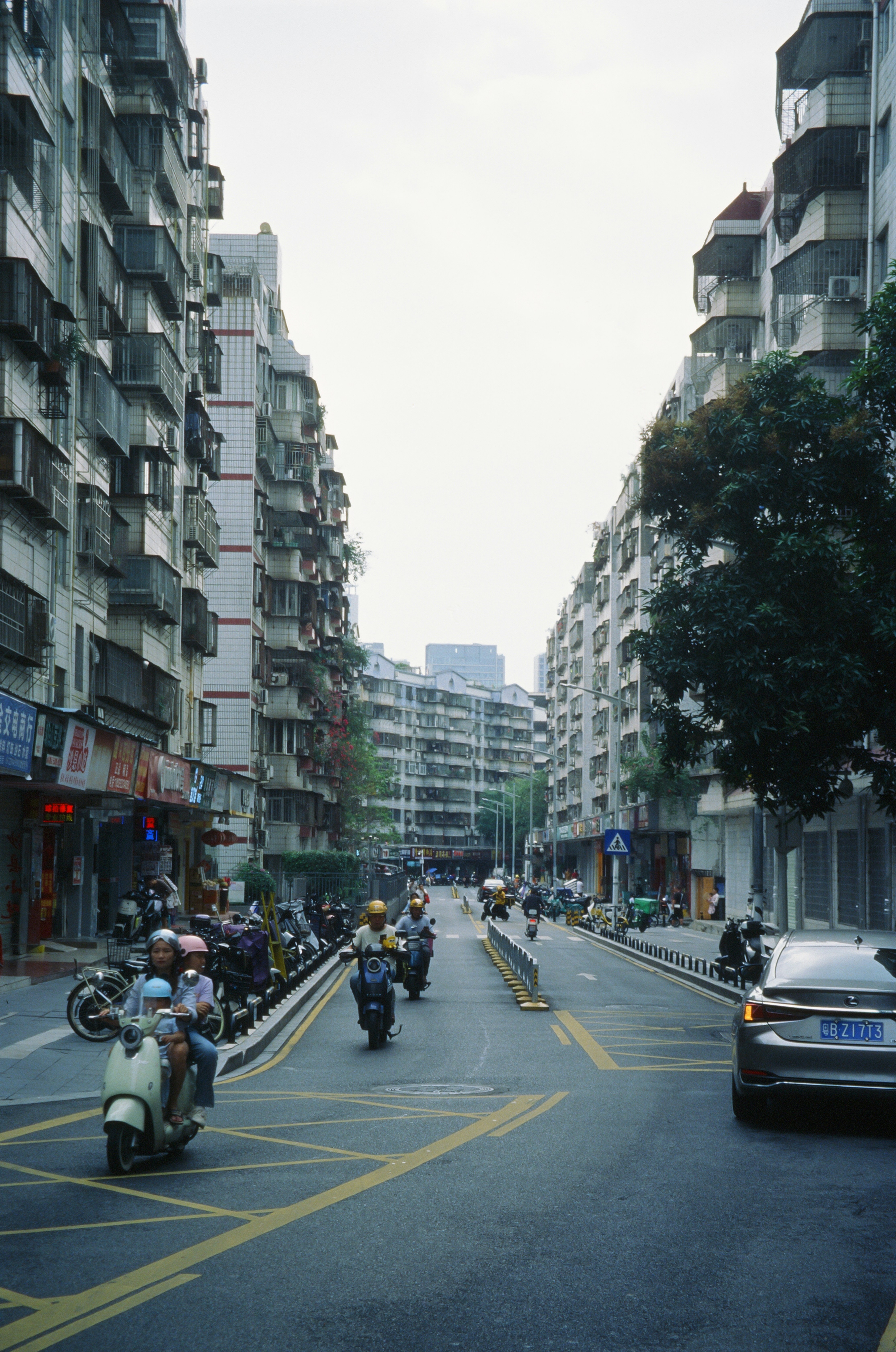 Photo by greedwolf97