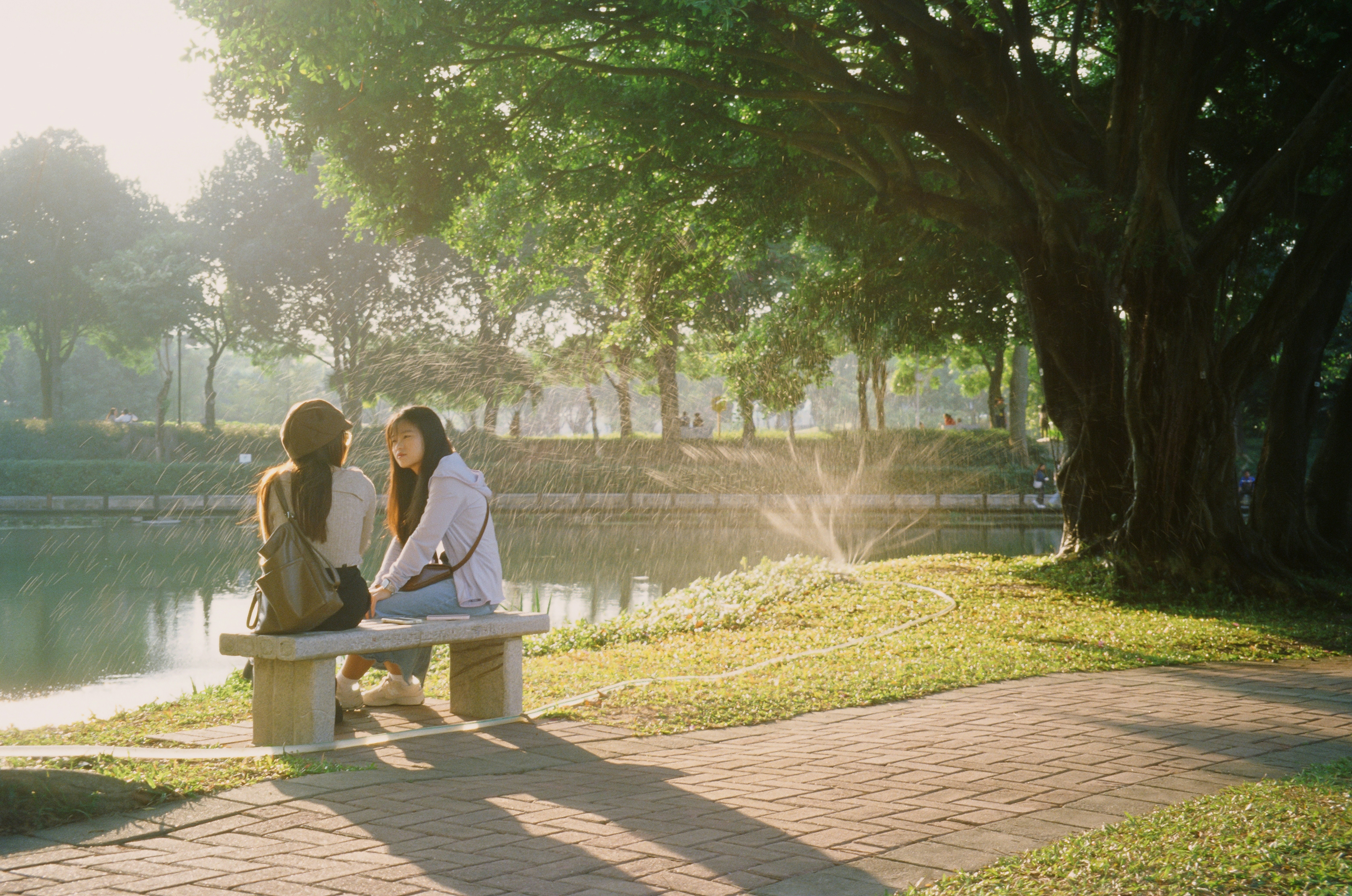 Photo by greedwolf97