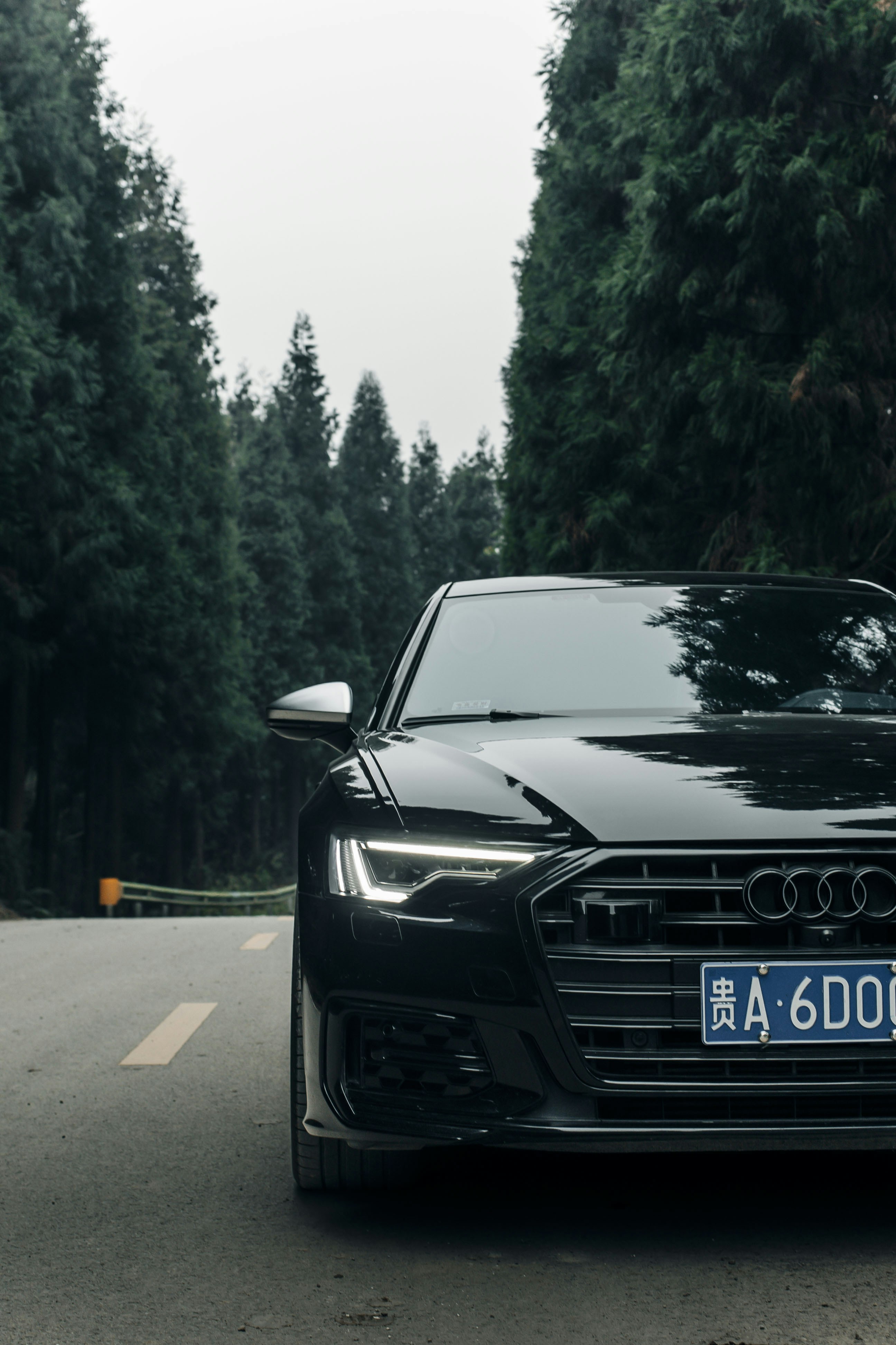 Photo by yokonoito0512