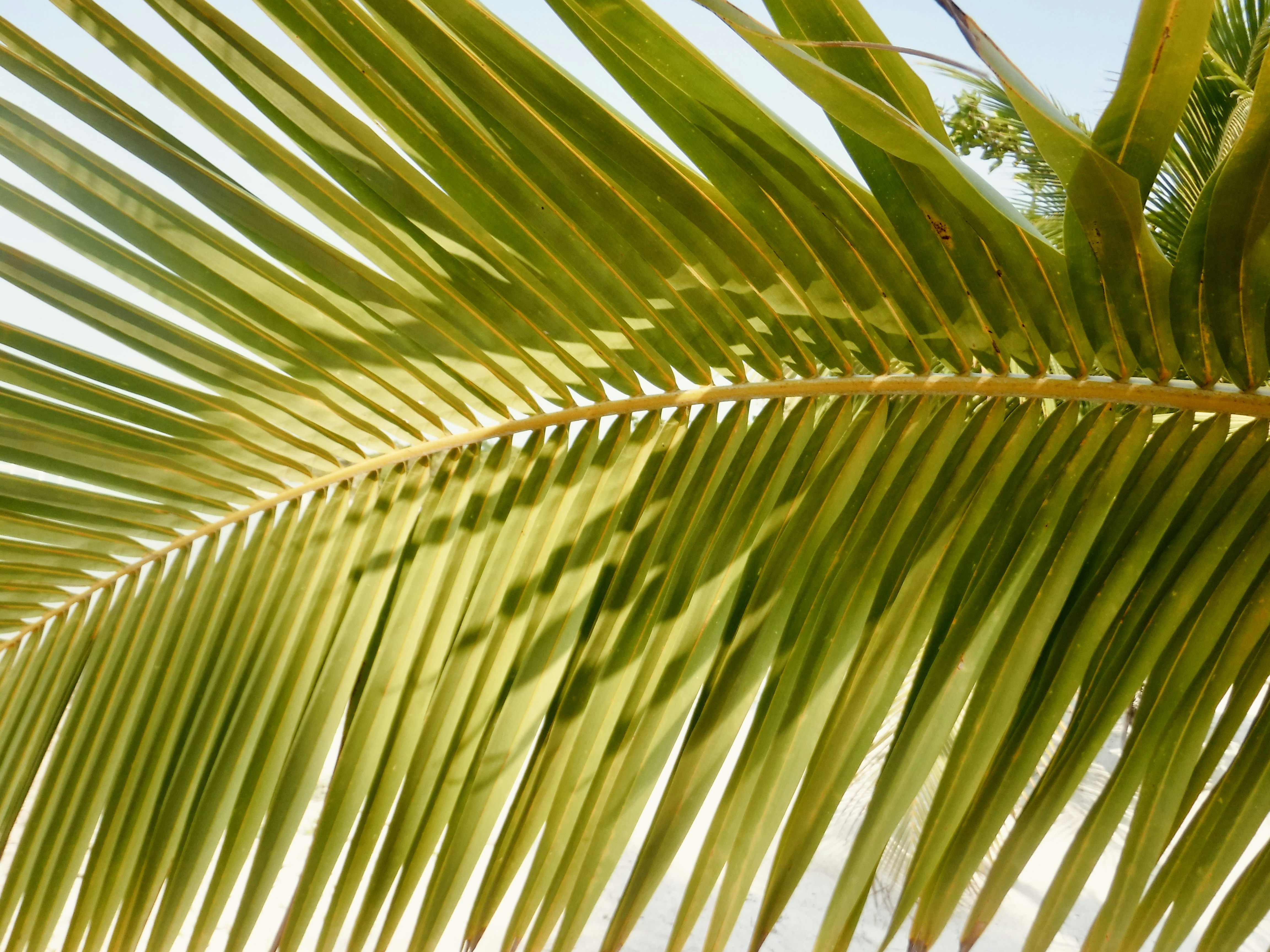 Photo by zavs_studio