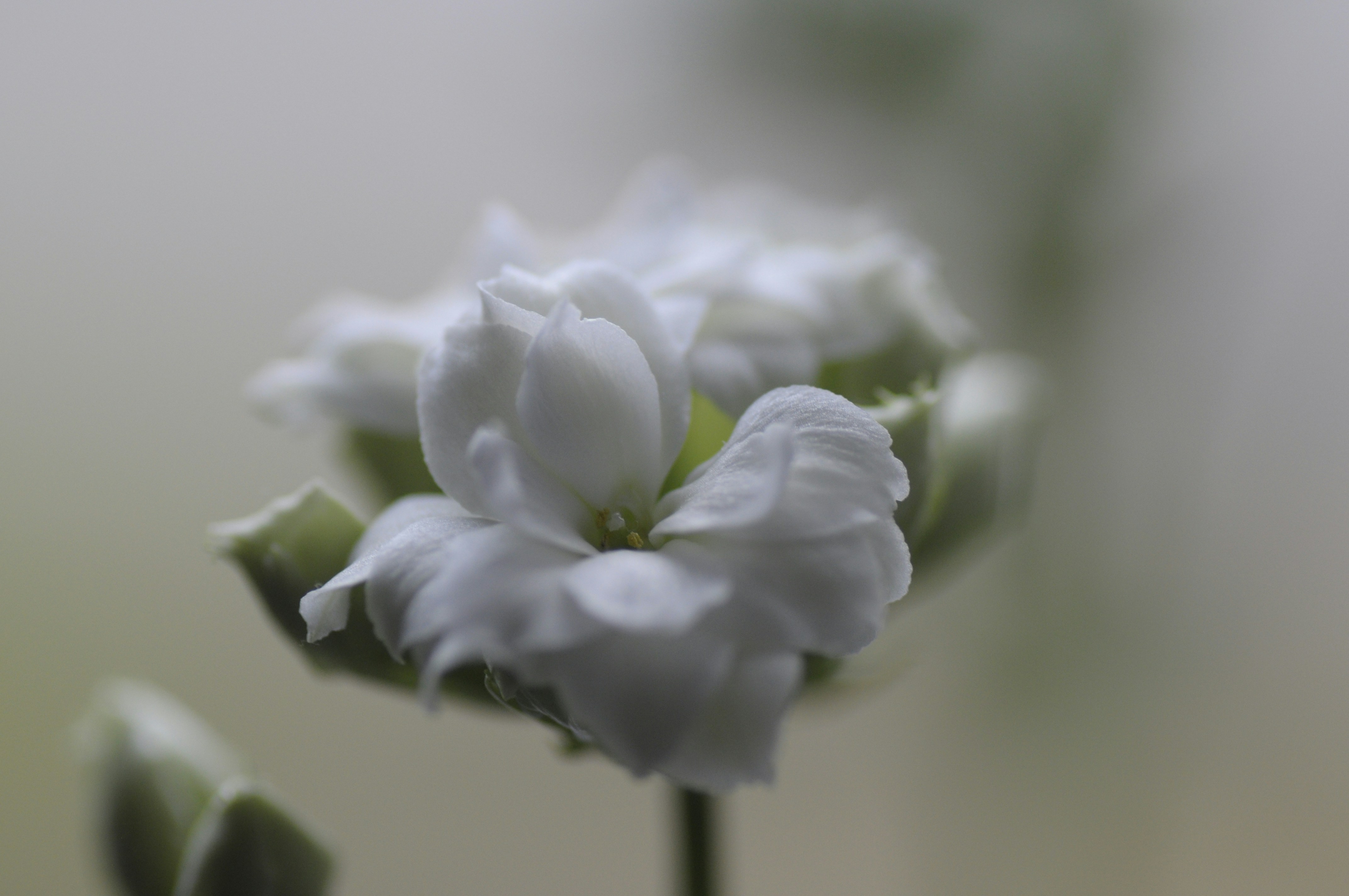 Photo by hnphotography