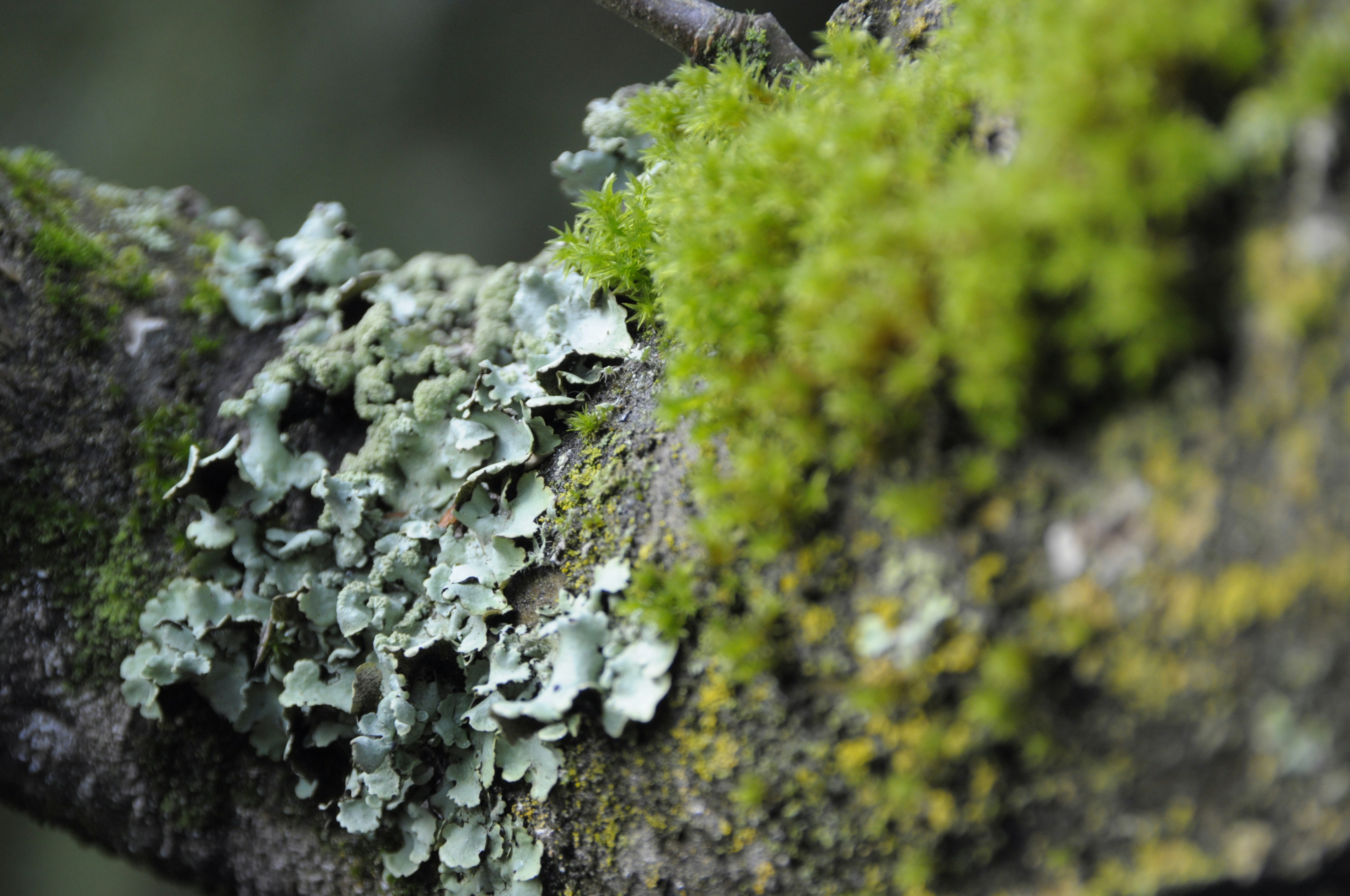 Photo by hnphotography