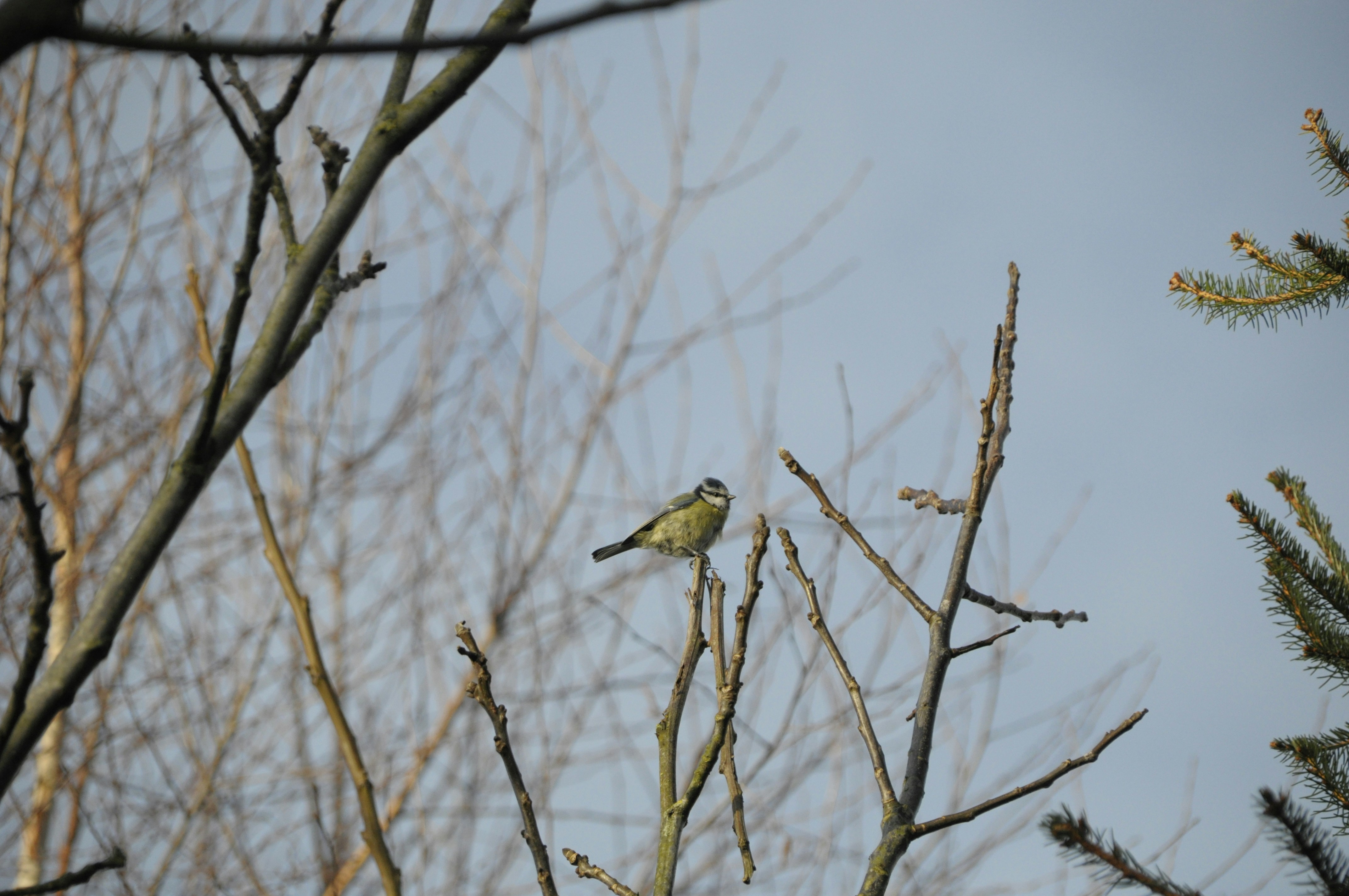 Photo by hnphotography