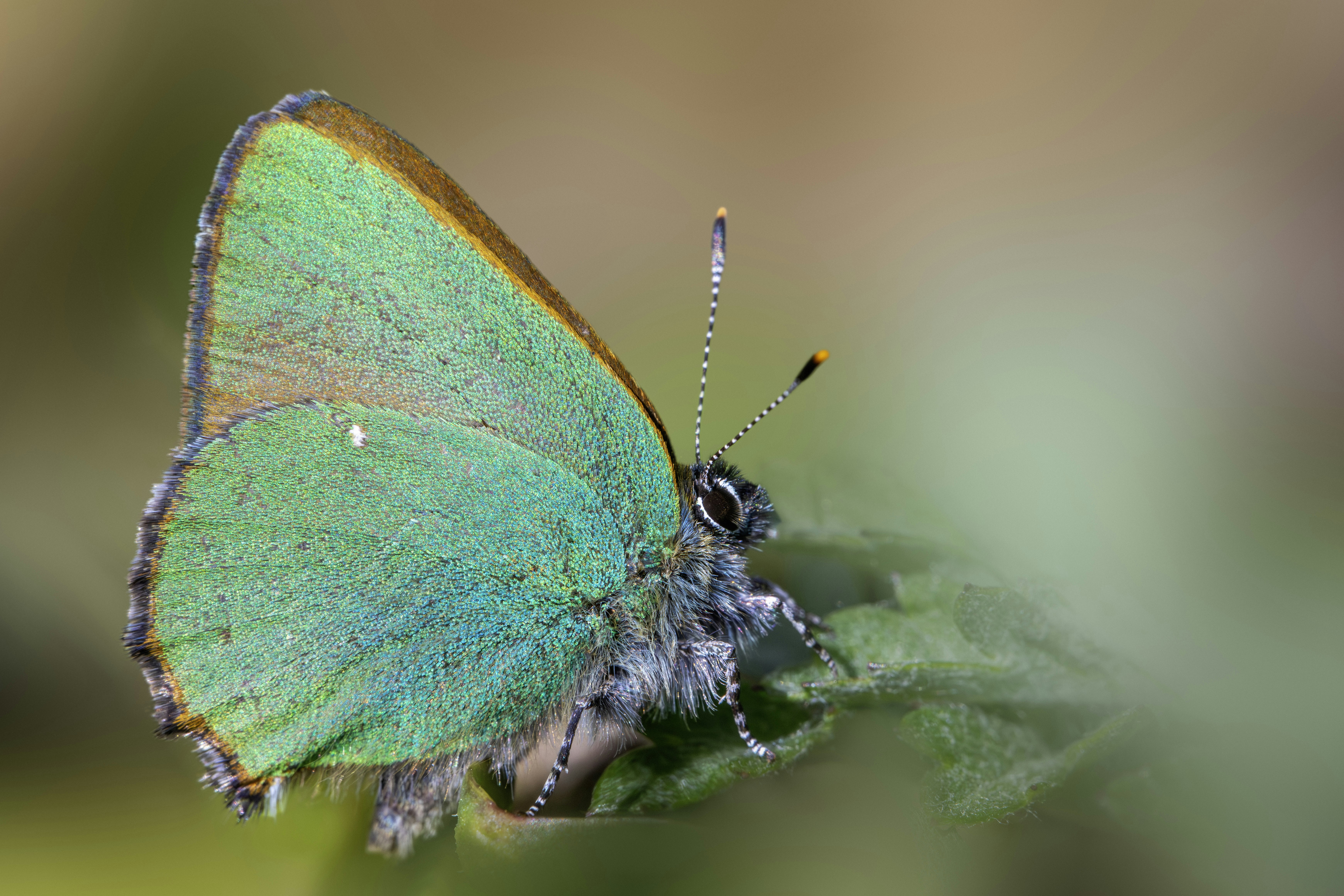 Photo by erik_karits