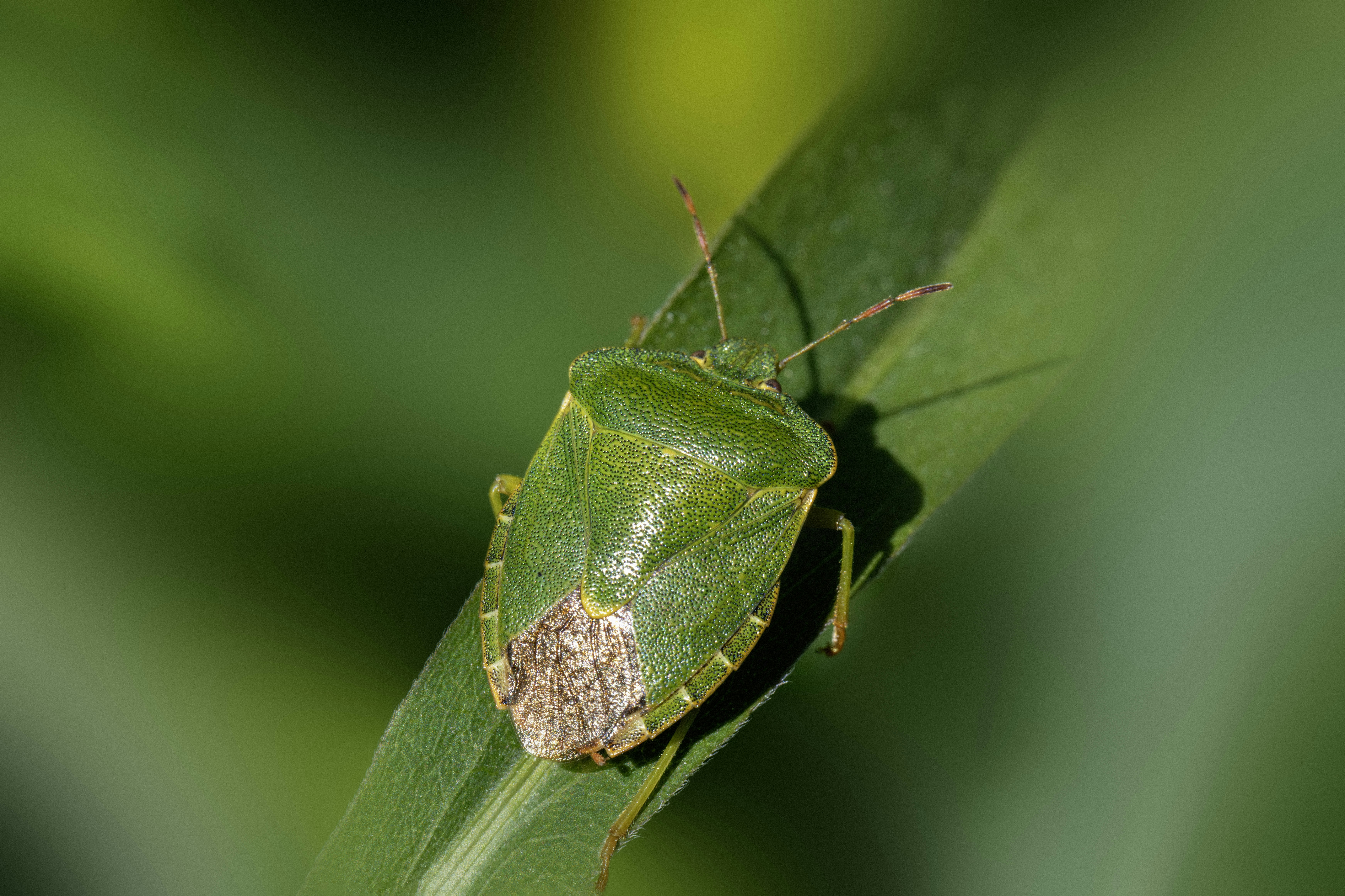 Photo by erik_karits