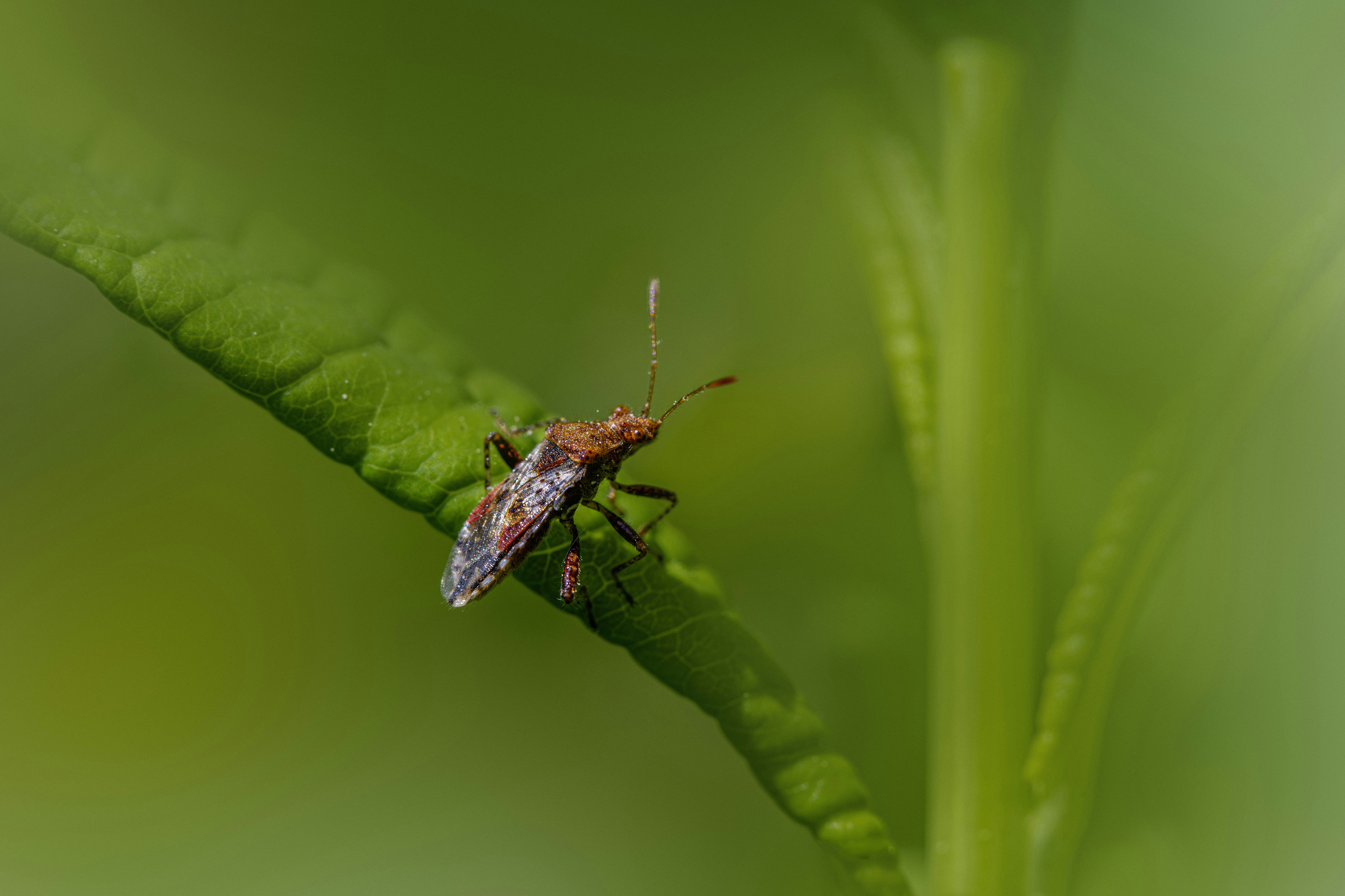 Photo by erik_karits