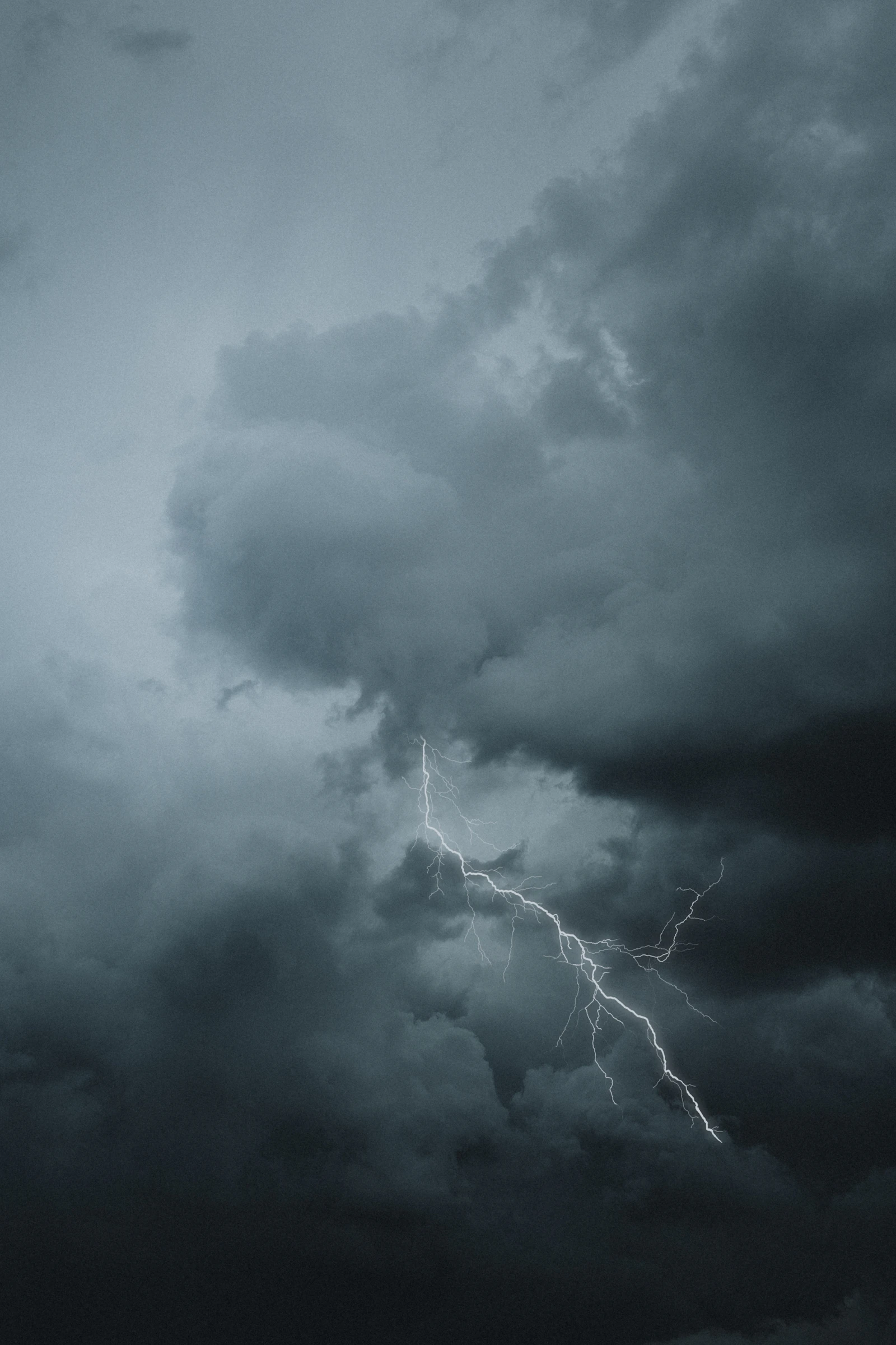 A branching lightning bolt cuts through dense dark storm clouds.