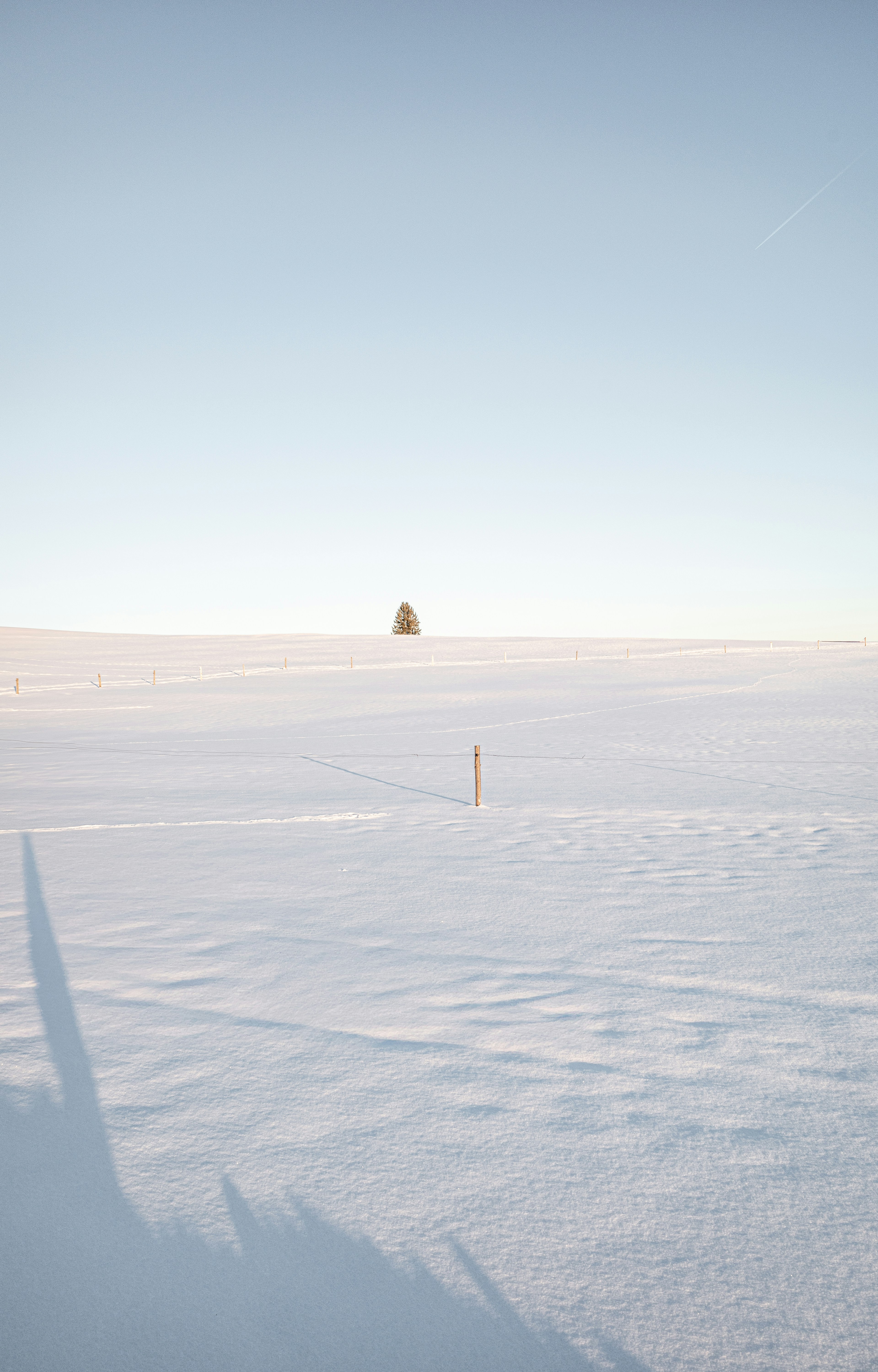 Photo by heinz_putel_18