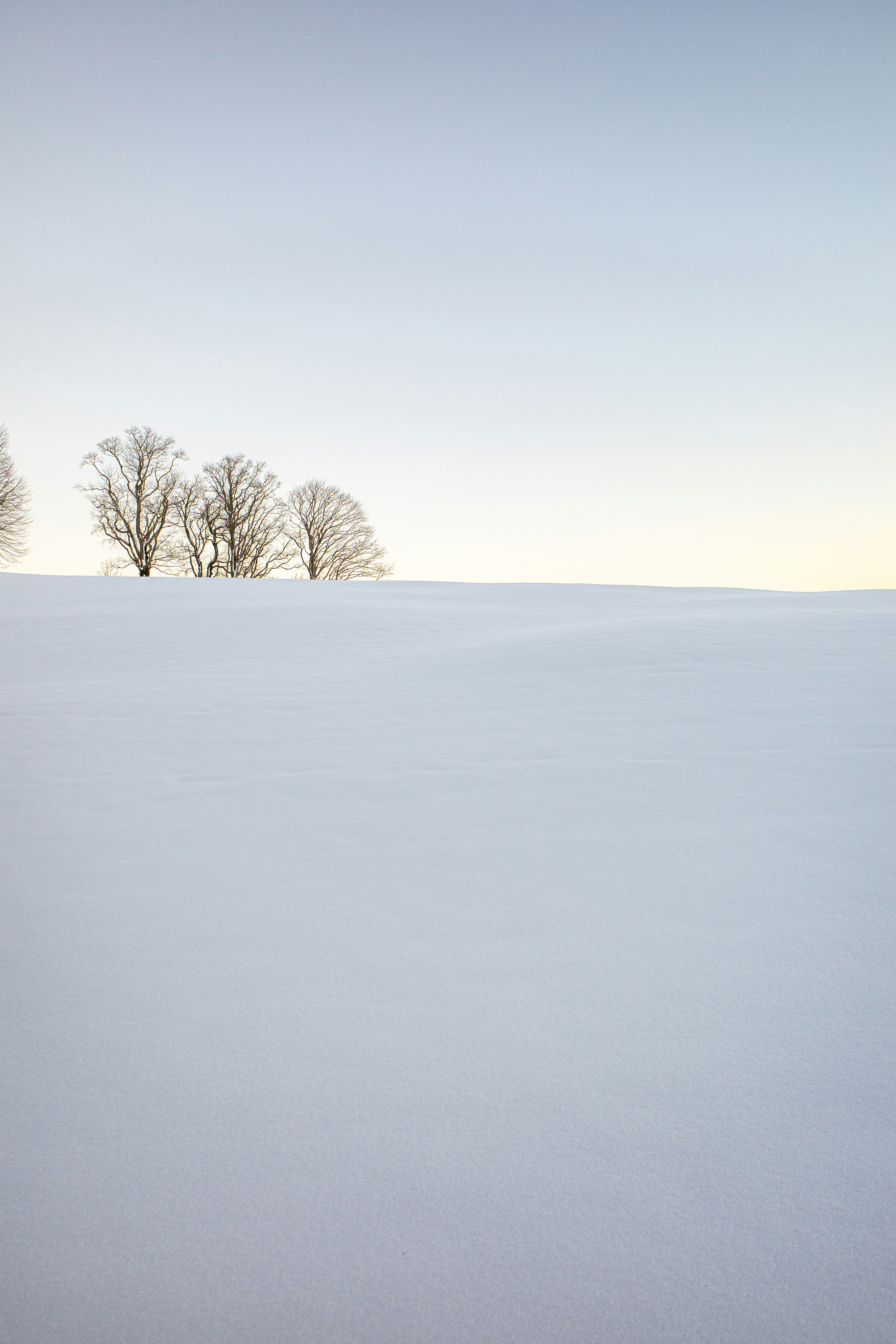 Photo by heinz_putel_18