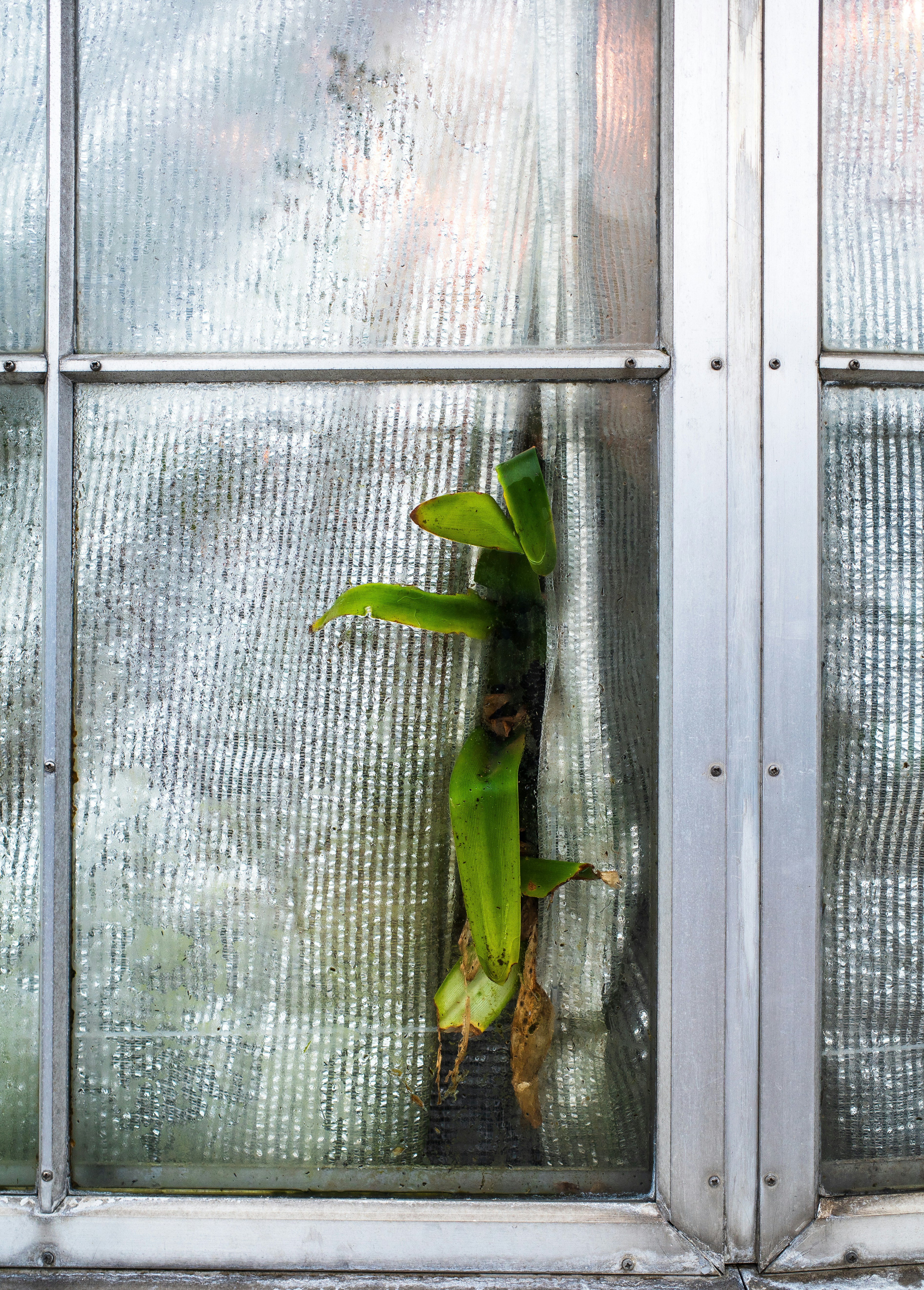 Photo by heinz_putel_18