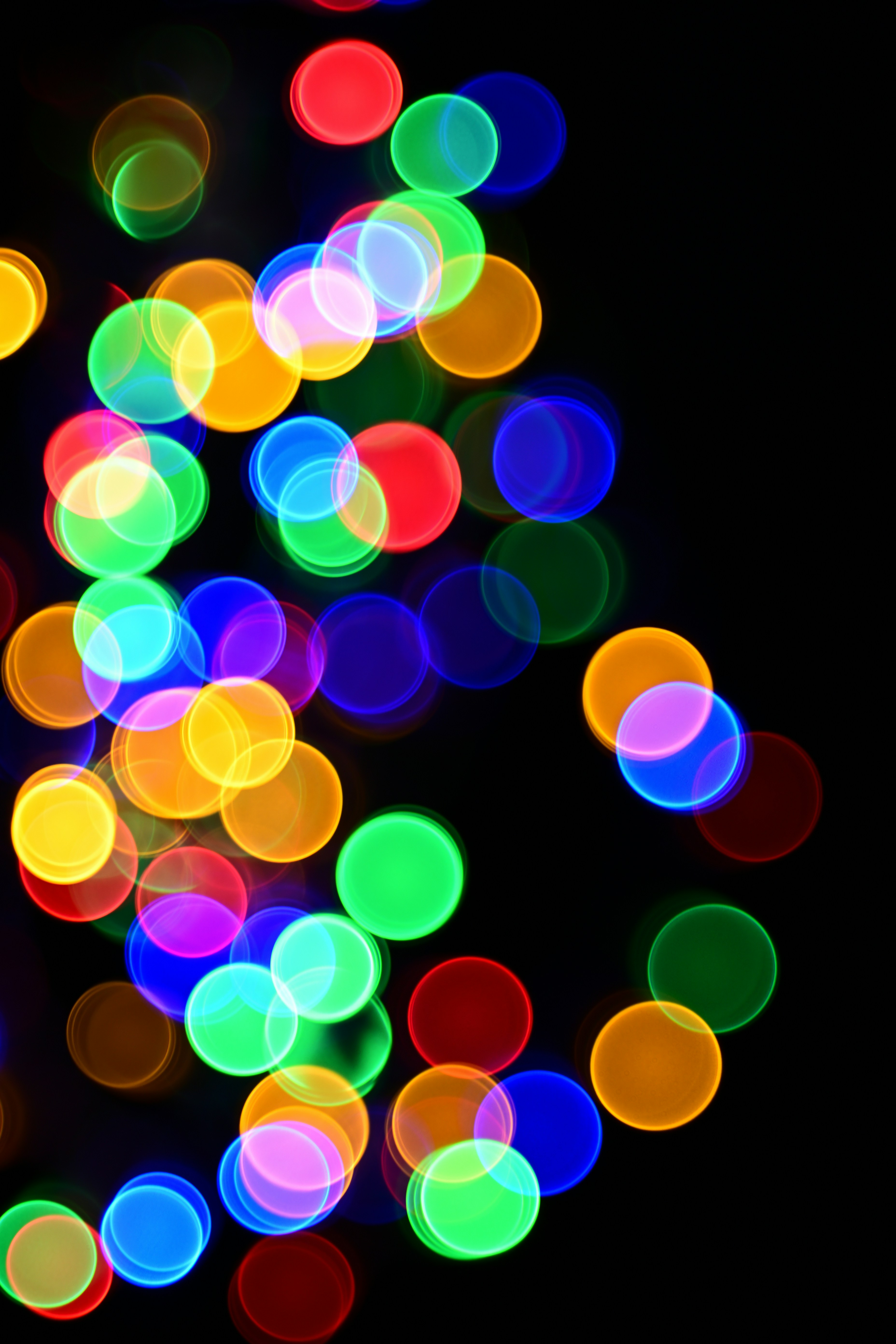 Photo by bkaraivanov