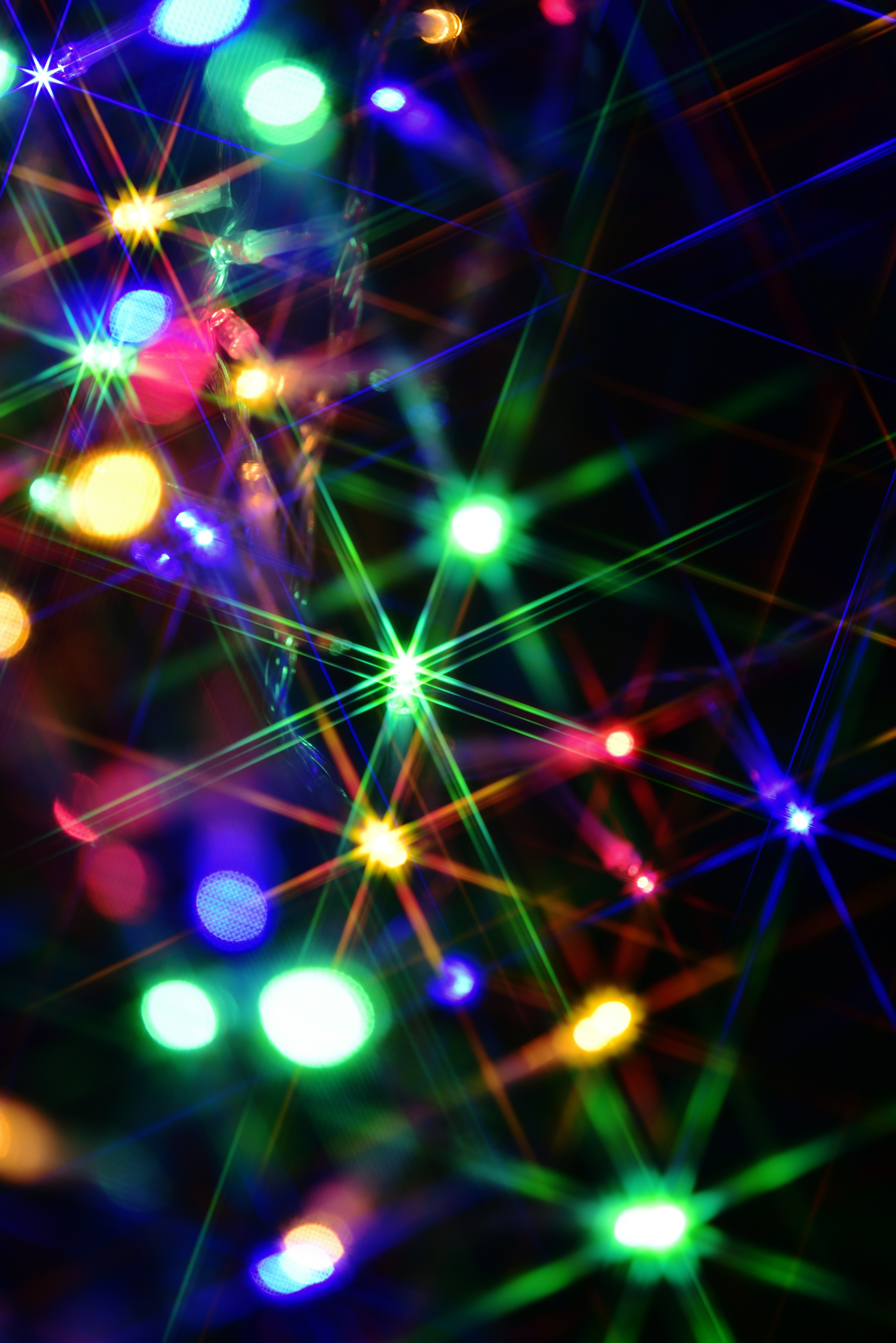 Photo by bkaraivanov