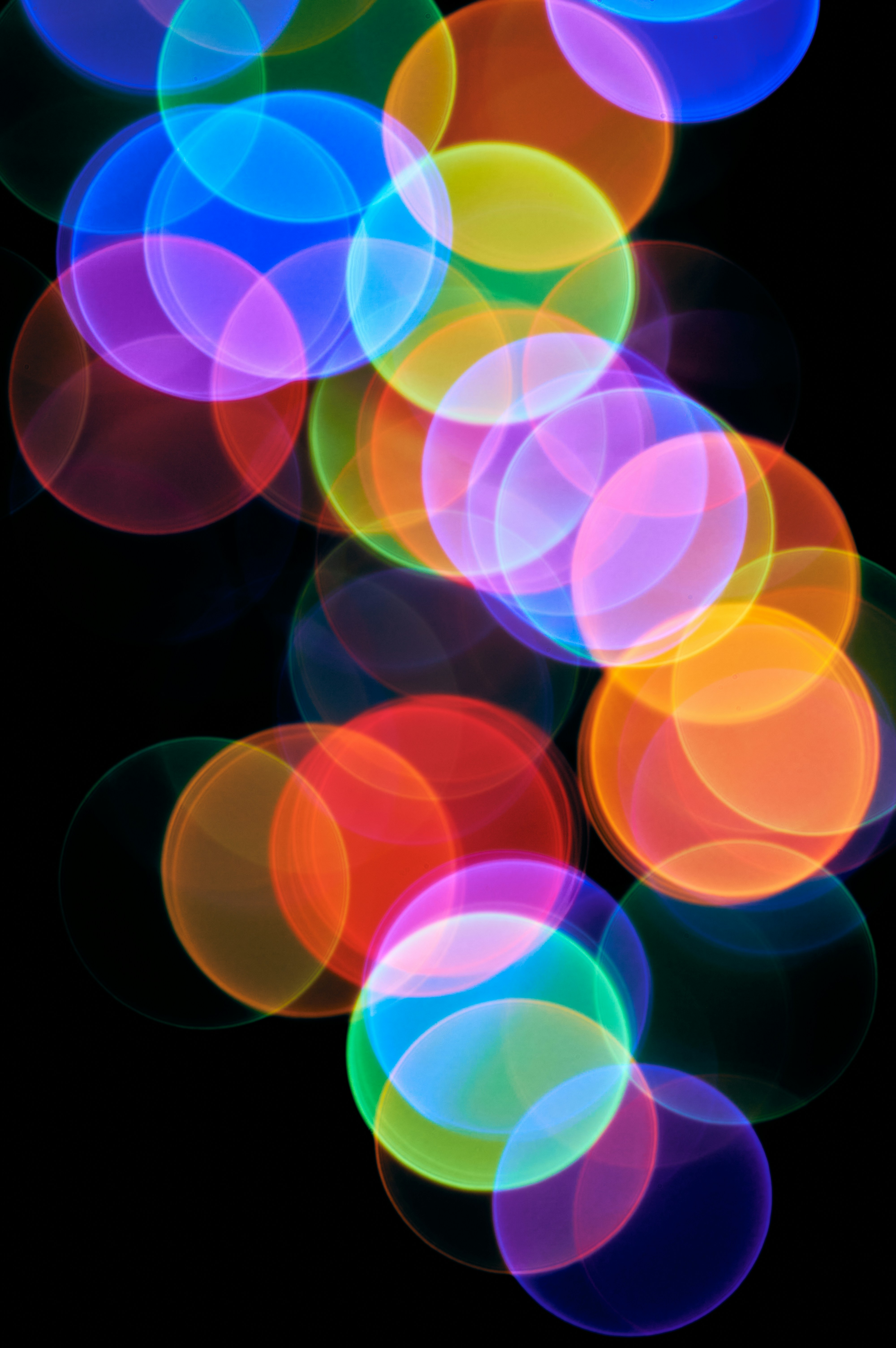 Photo by bkaraivanov