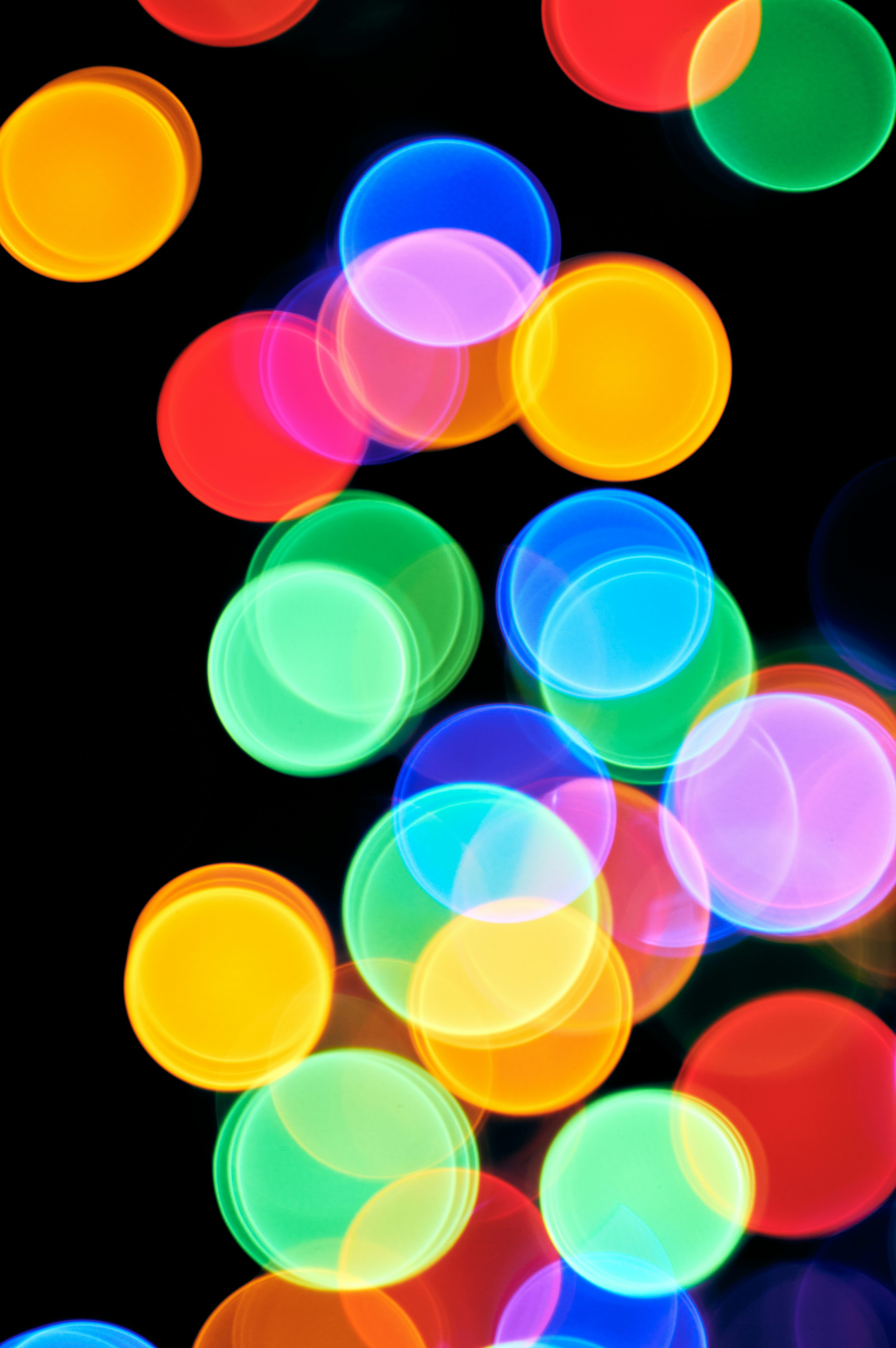 Photo by bkaraivanov