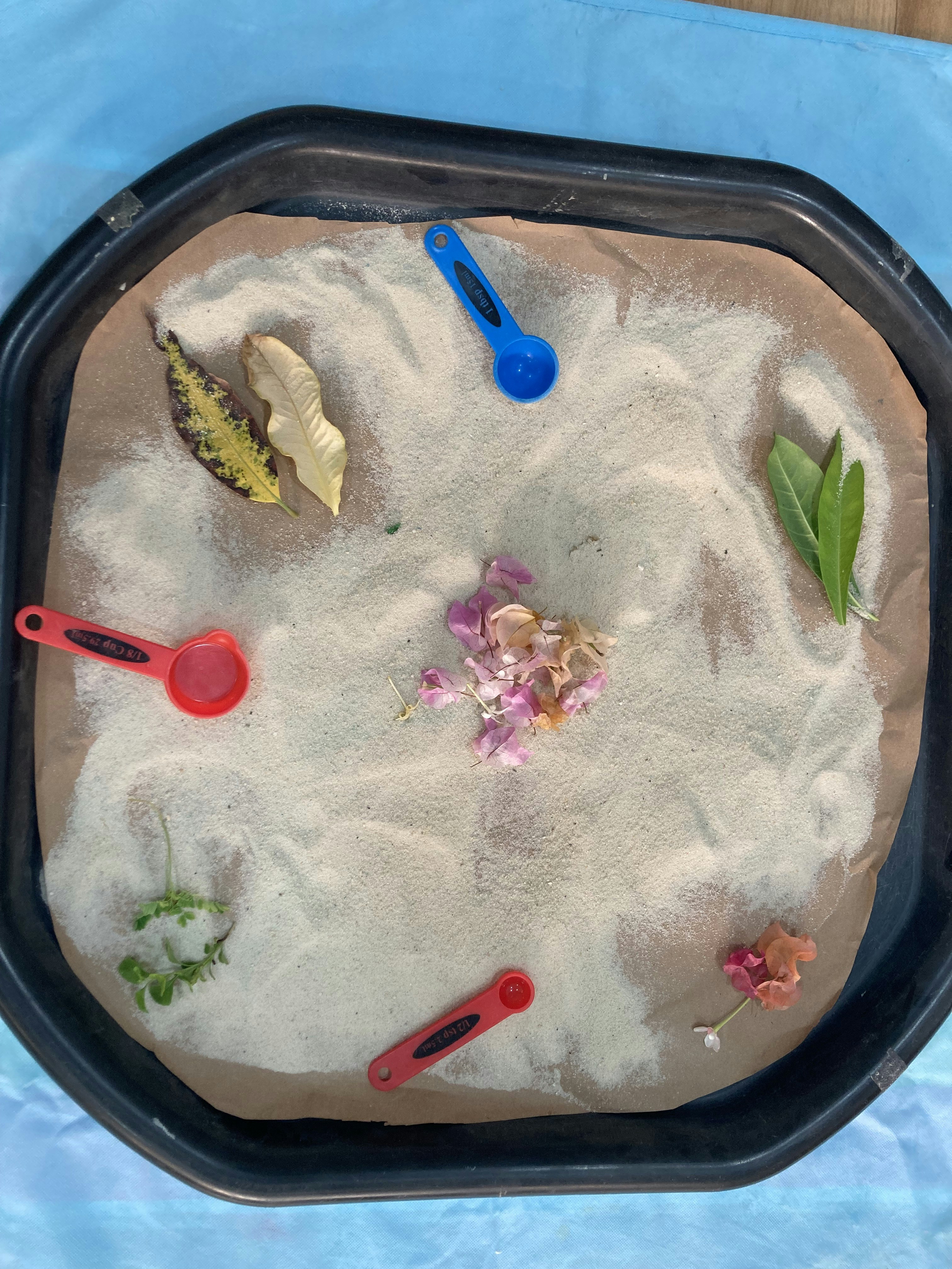 Outdoor sensory tray with natural materials — leaves, shells, sand, and pebbles arranged for children to explore