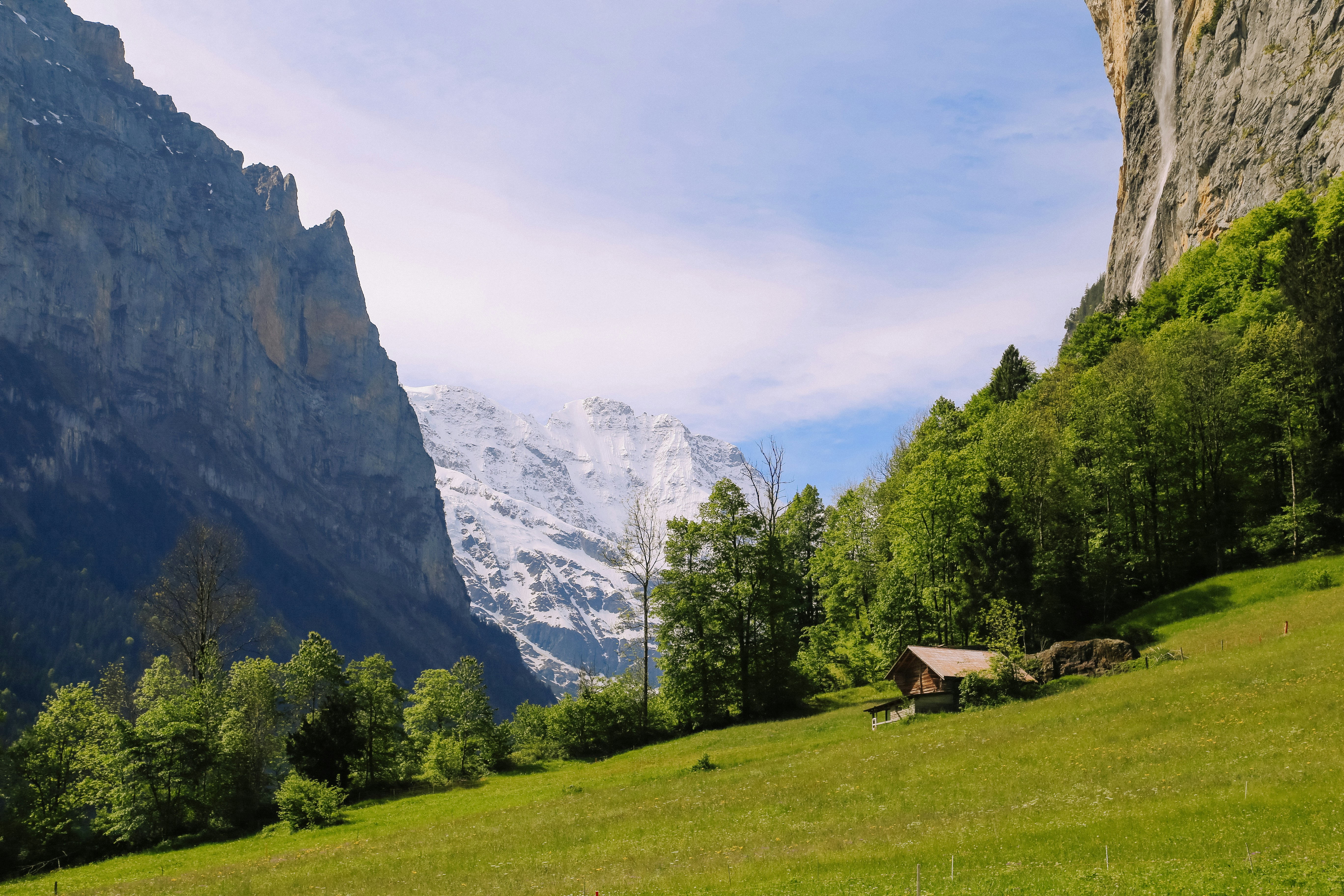 Photo by therealjackmurrer