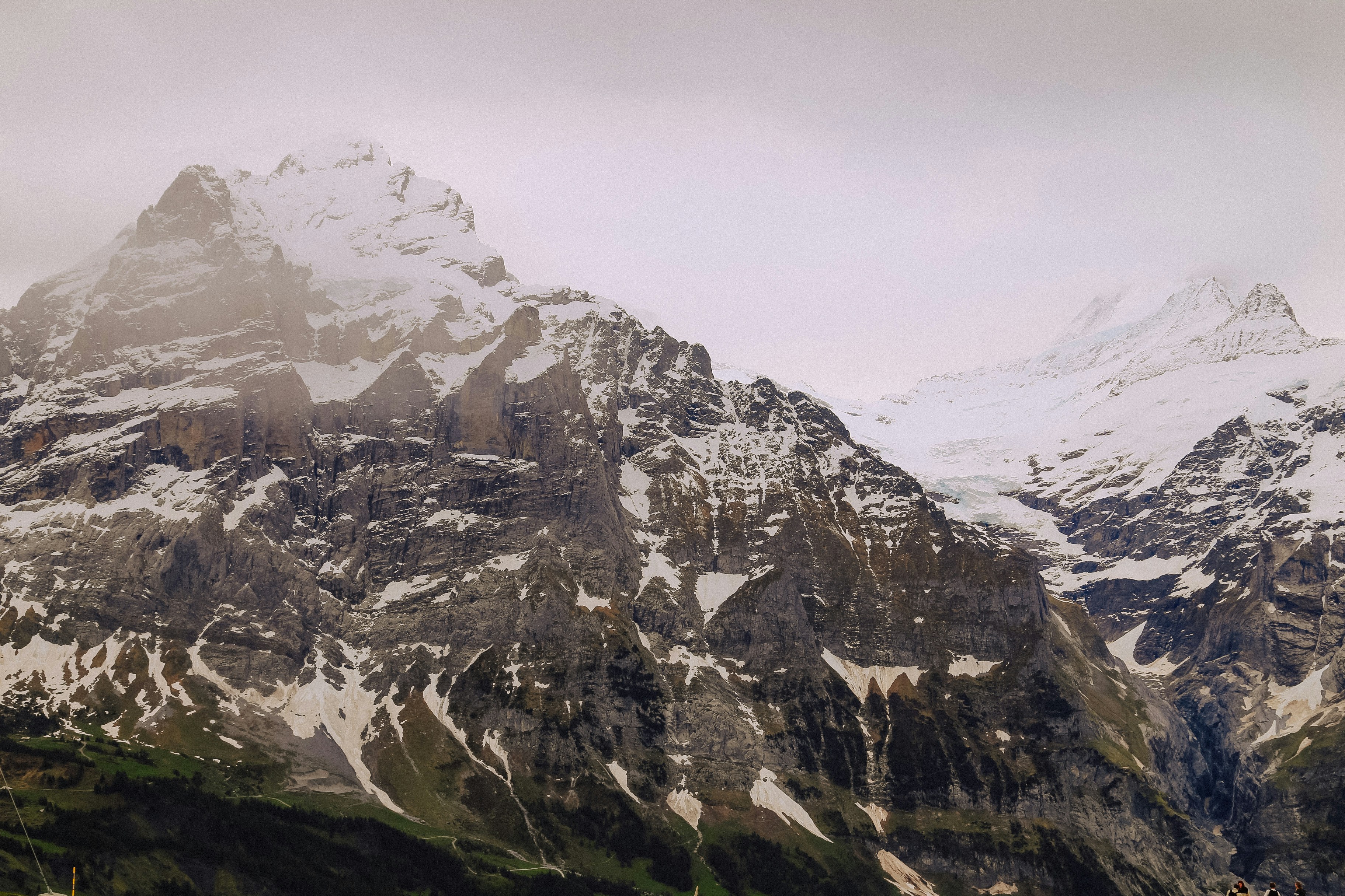 Photo by therealjackmurrer