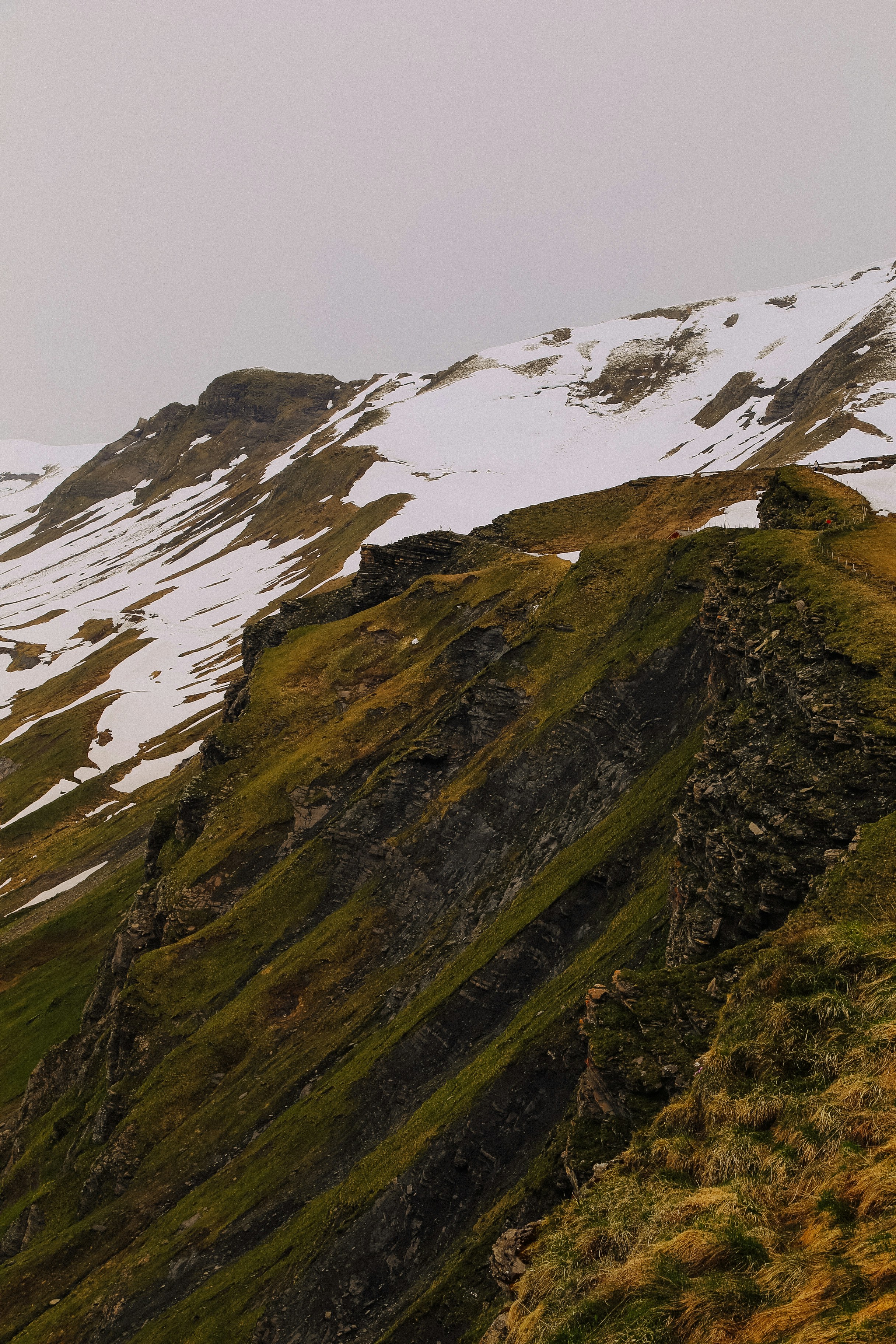 Photo by therealjackmurrer